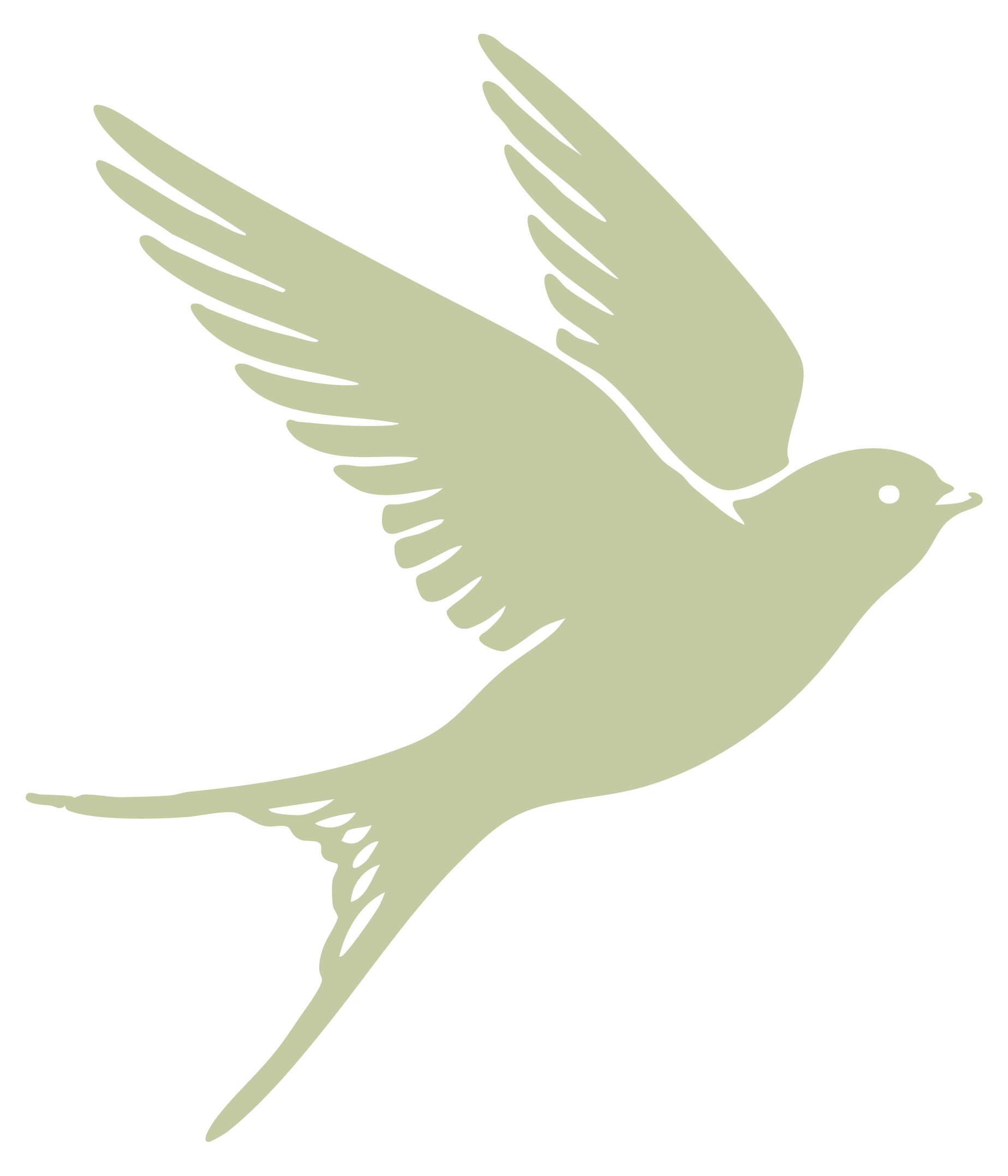 Simplified illustration of a bird in flight, light green color with a black background.