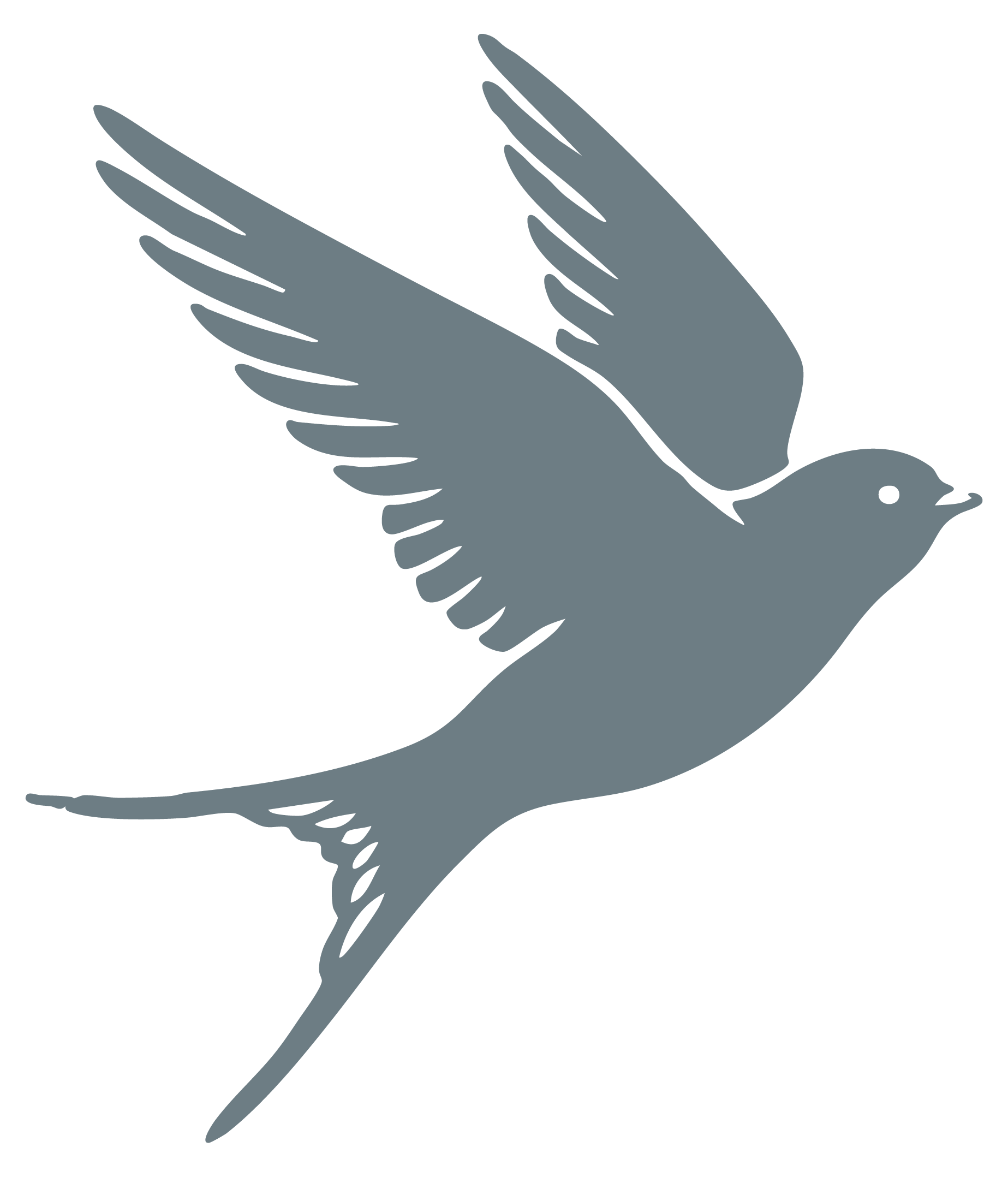 A stylized, gray silhouette of a flying bird with outstretched wings and a long tail.