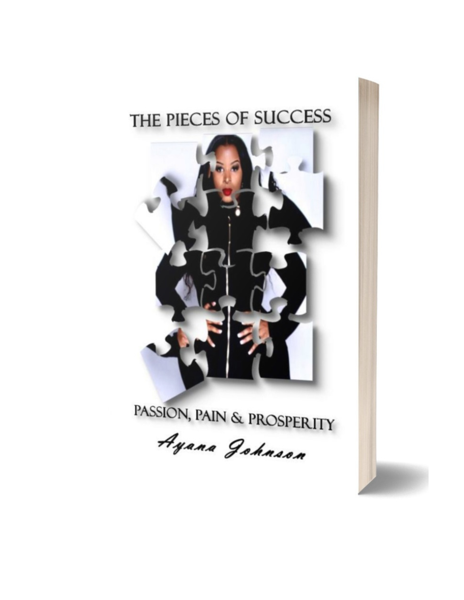 Pieces Of Success Mockup.png