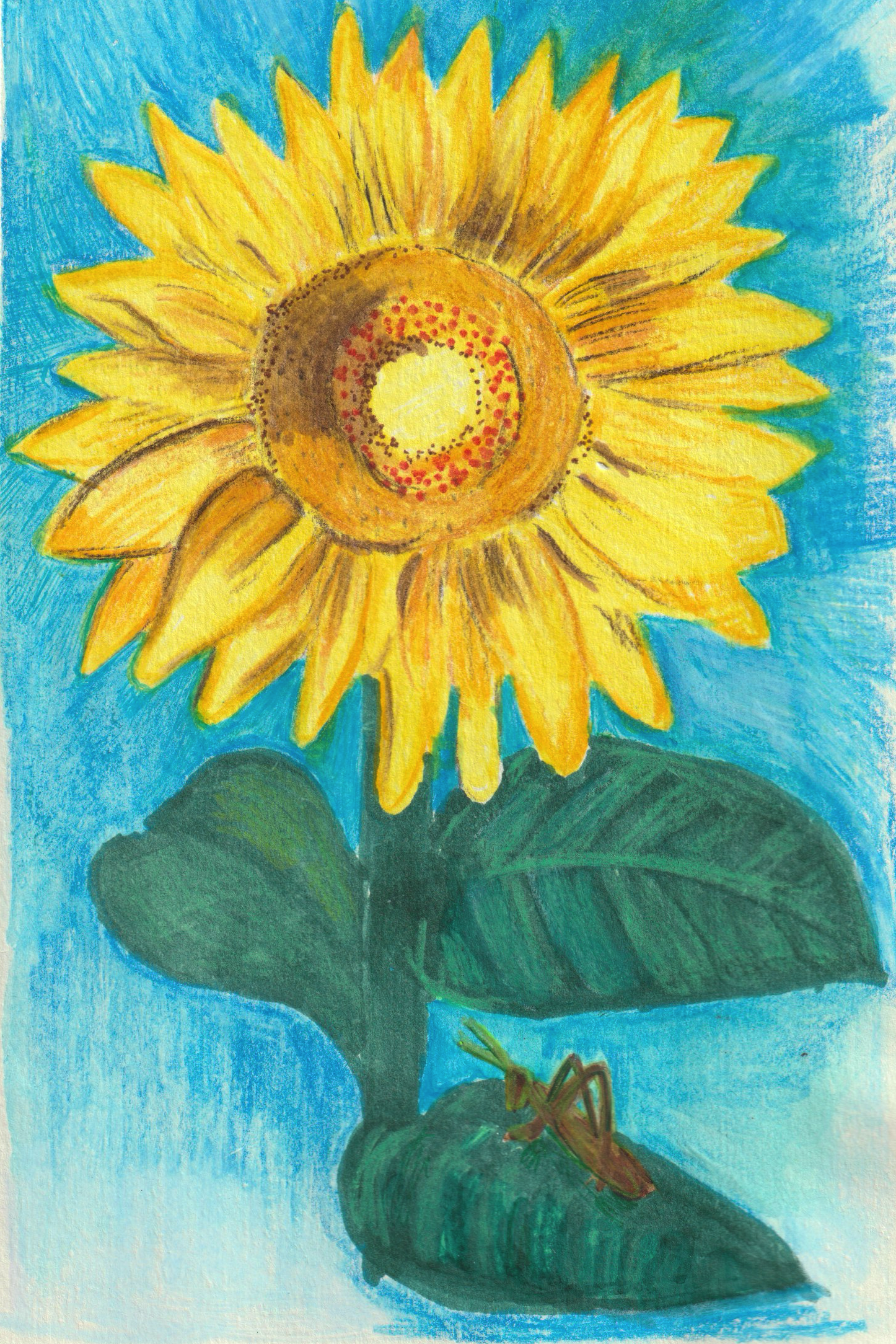 Sunflower 1 copy.png