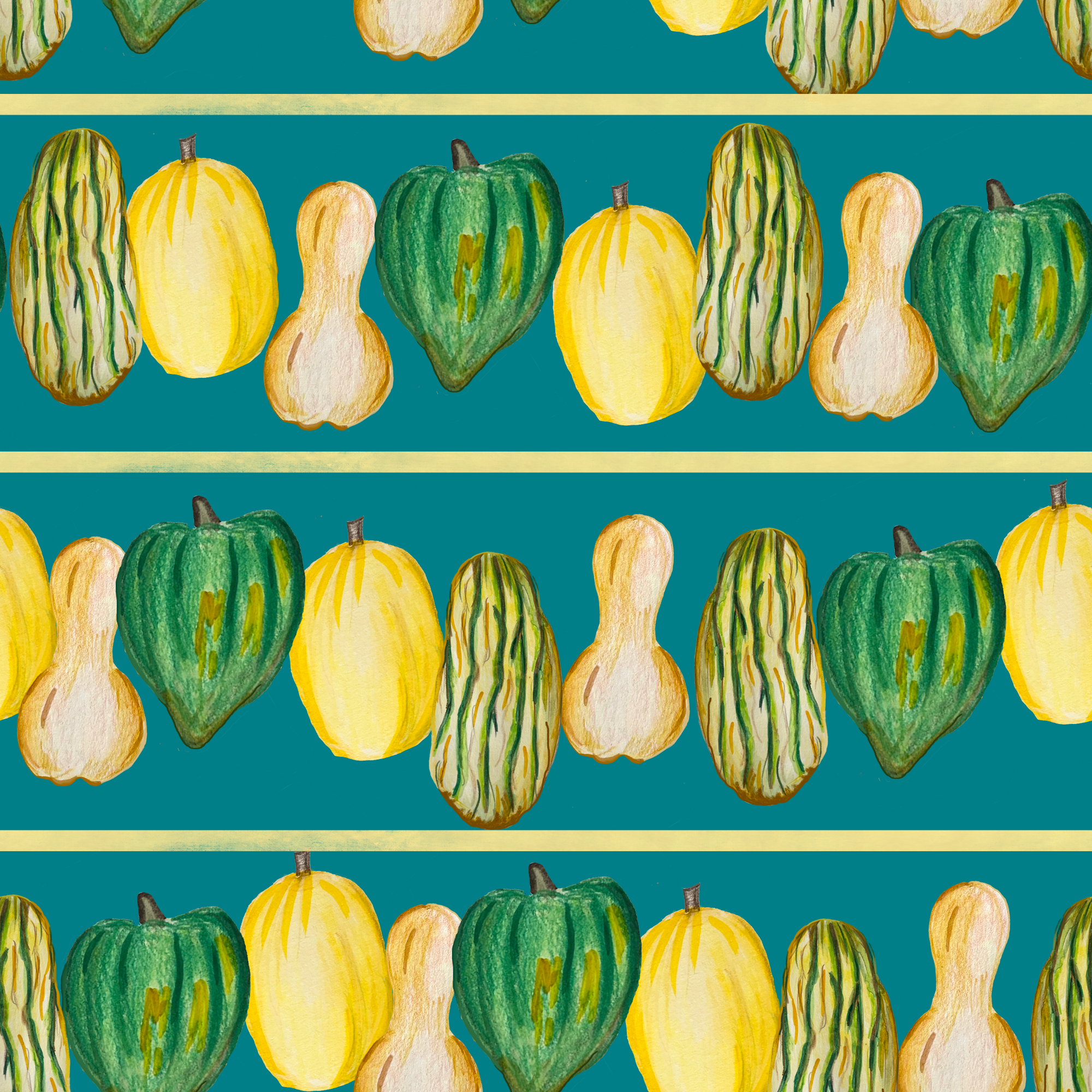 squash stripe all.png