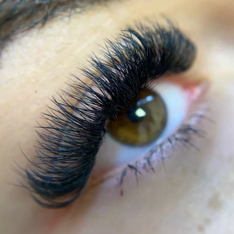 One Full Set of 6D Volume Eyelash Extensions (Thai, Russian, or Sunflower)