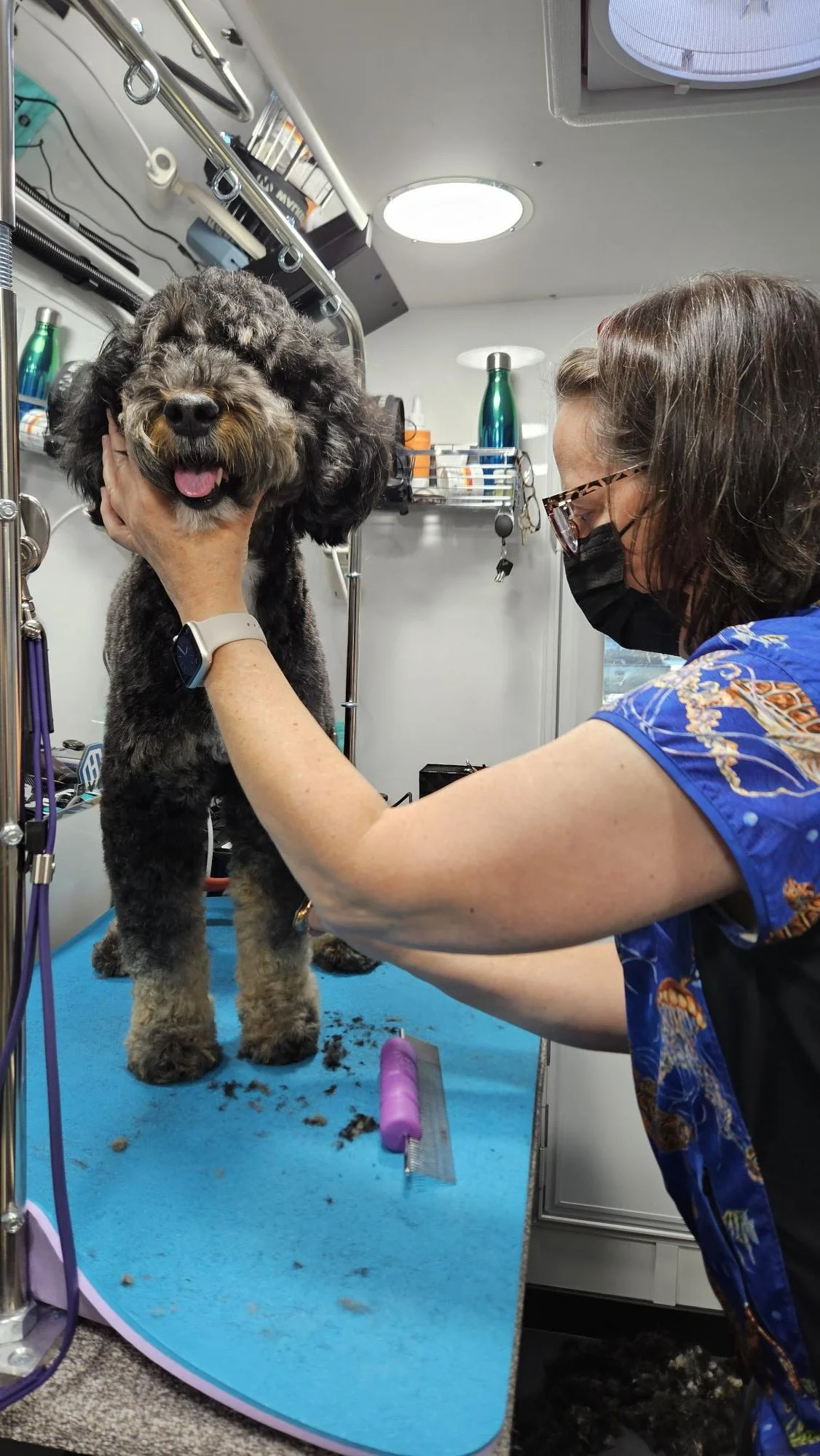 A woman wearing glasses and a black face mask is grooming a large, fluffy, black and gray puppy on a grooming table inside a pet grooming salon. The woman is holding the puppy's head, and the puppy is smiling with its tongue out. The grooming area is equipped with grooming tools, shelves, and supplies.
