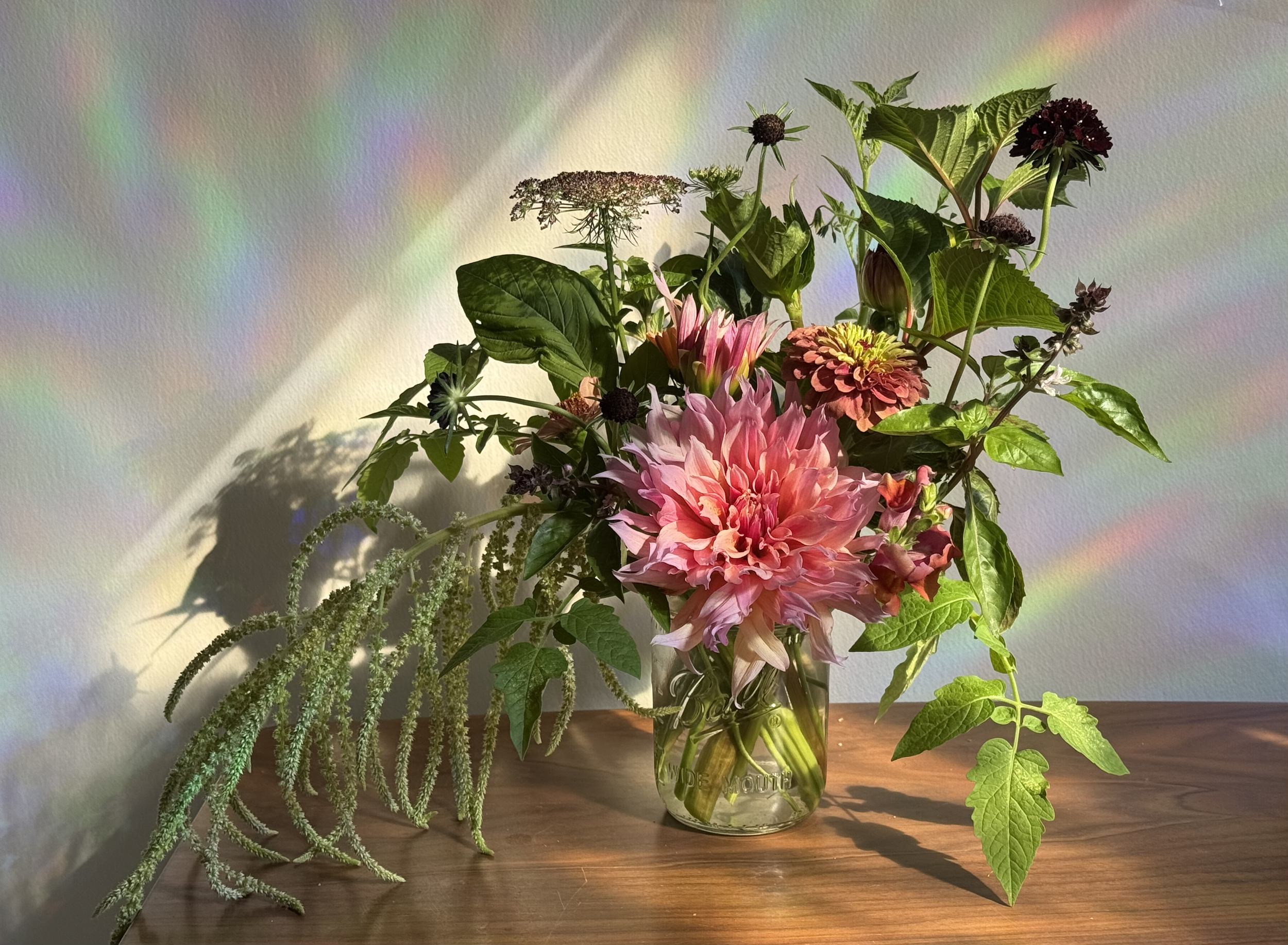 IMG_0915.png