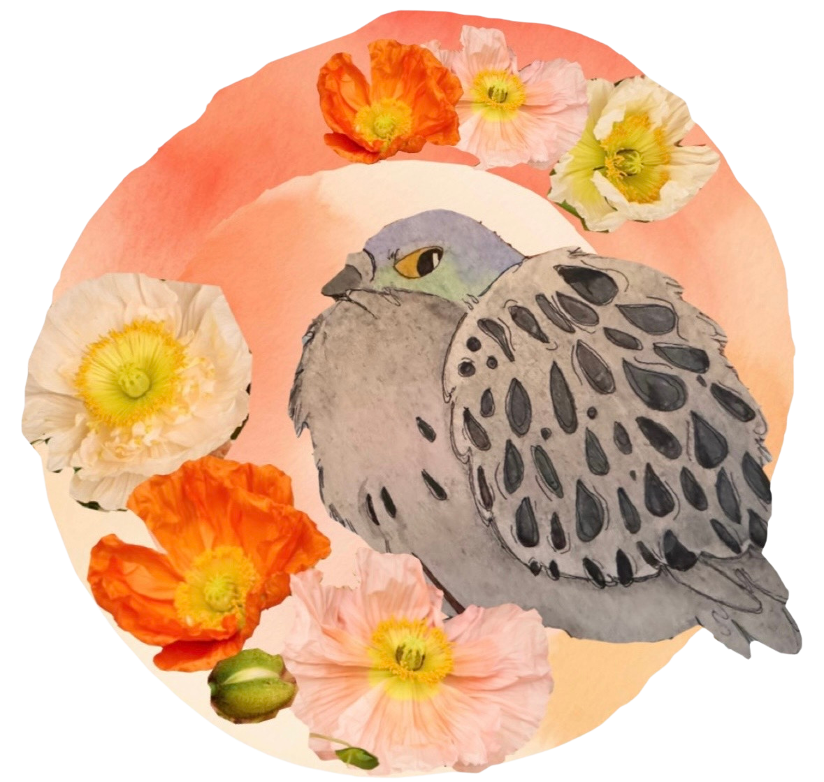 Pigeon and Poppy Logo