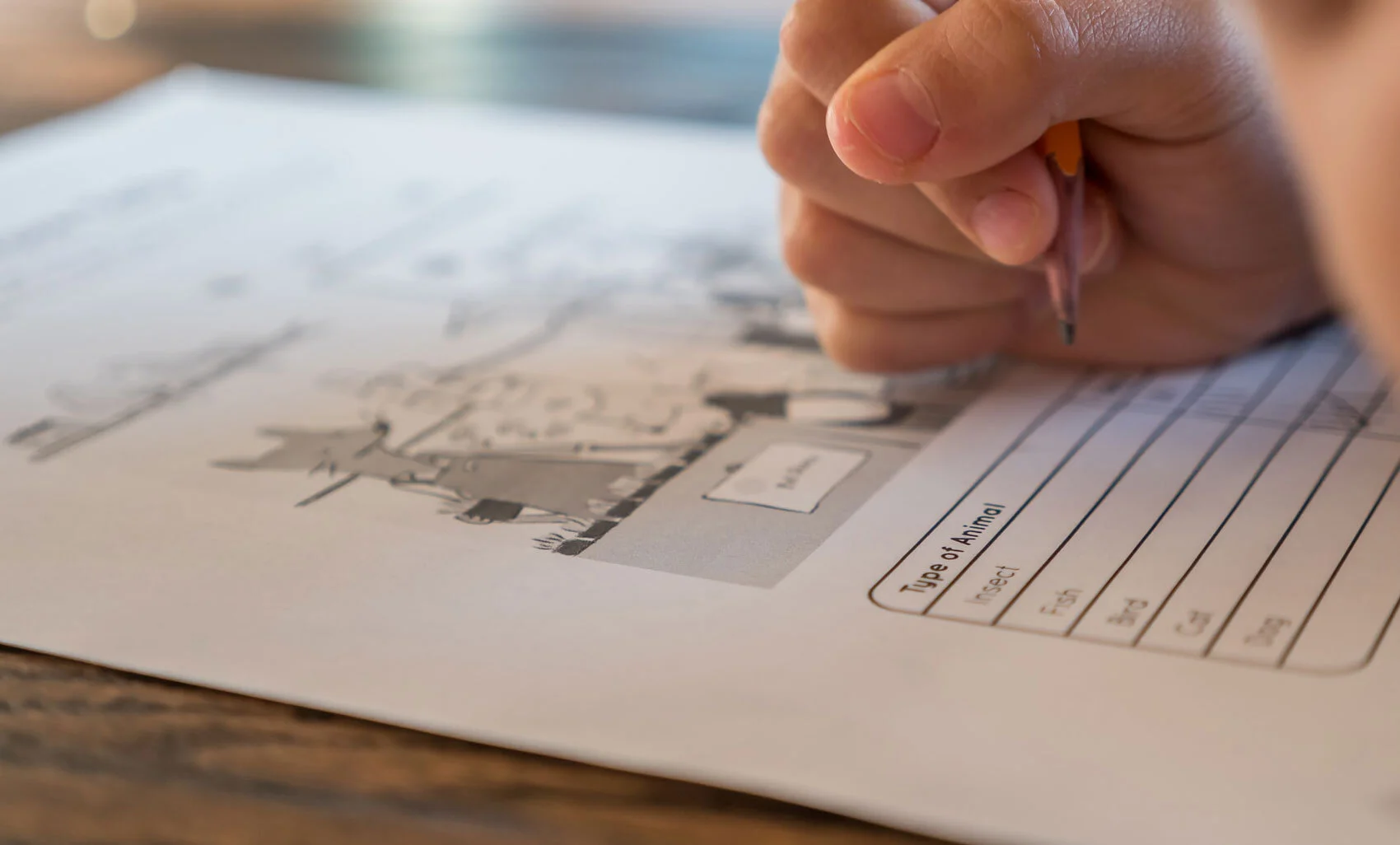 How to Improve Learning!