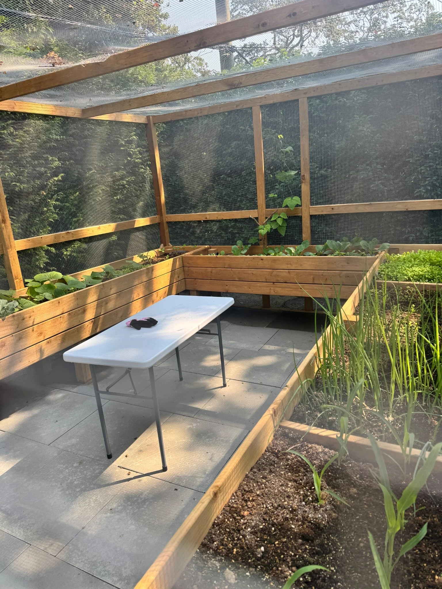 Raised Planter Garden with automatic watering and critter protection