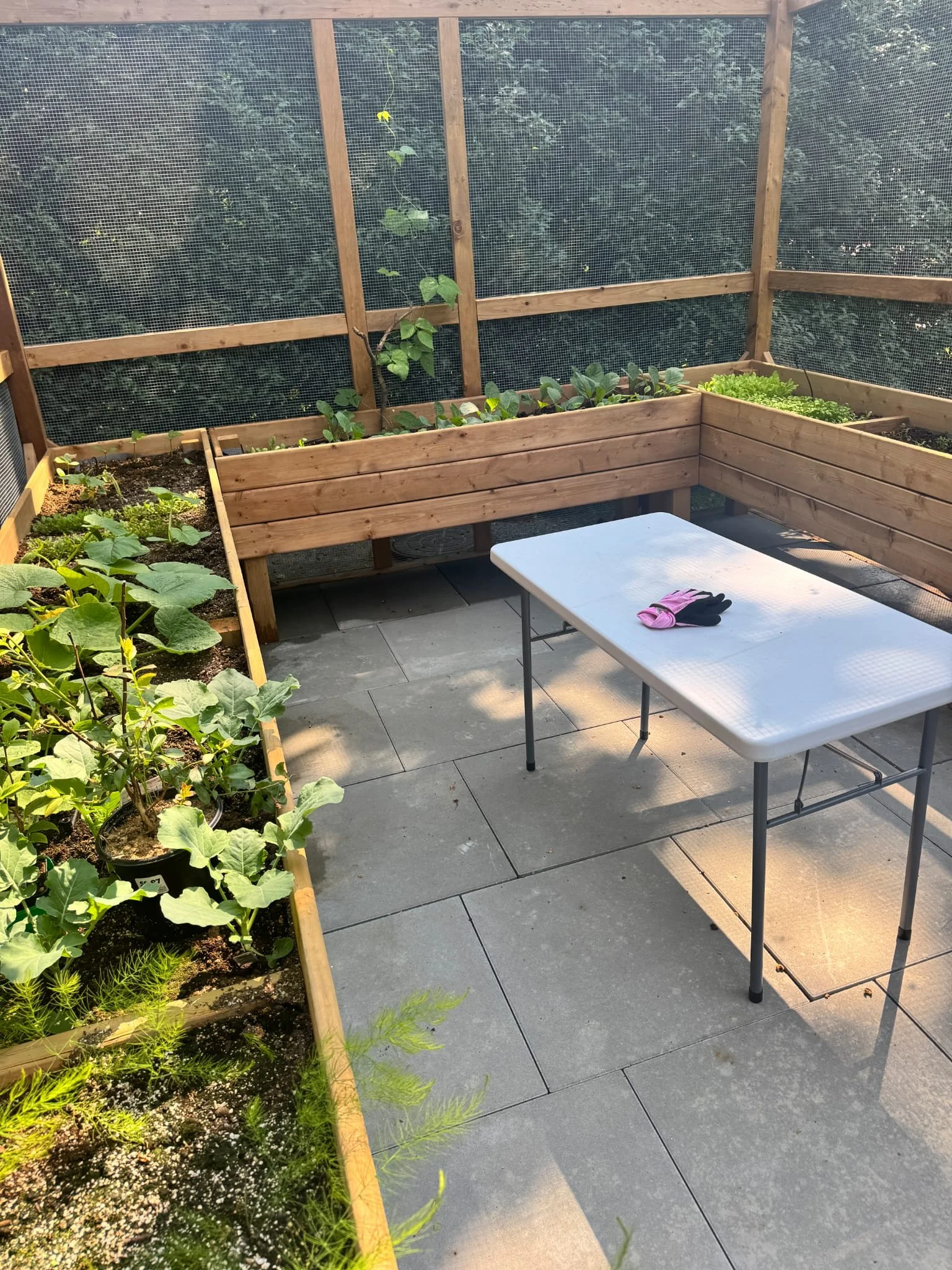 Raised Planter Garden with automatic watering and critter protection