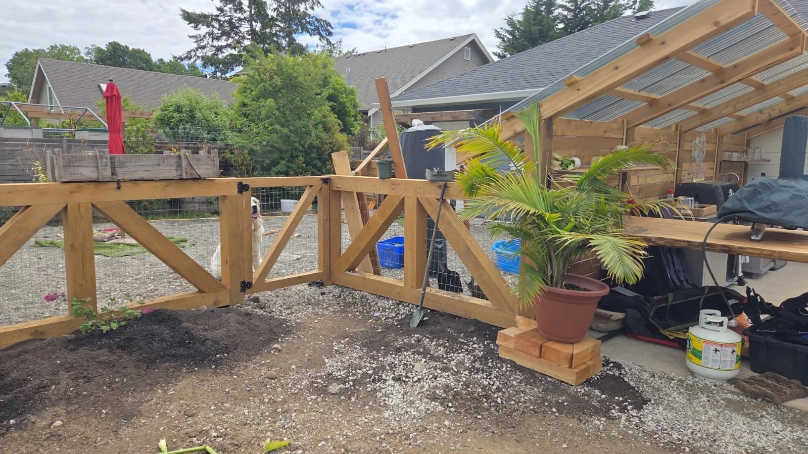 Fencing and Automated Gate