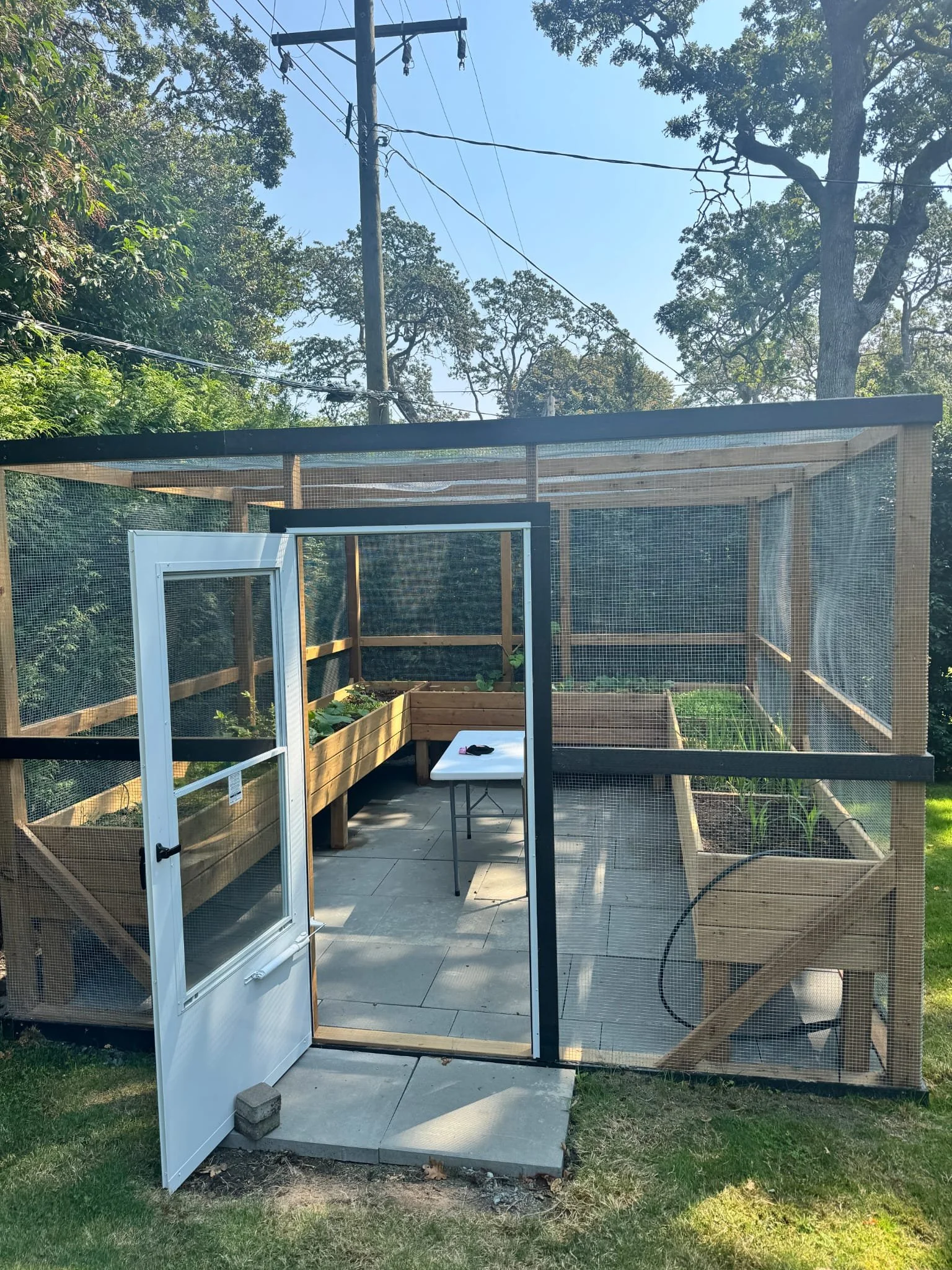 Raised Planter Garden with automatic watering and critter protection