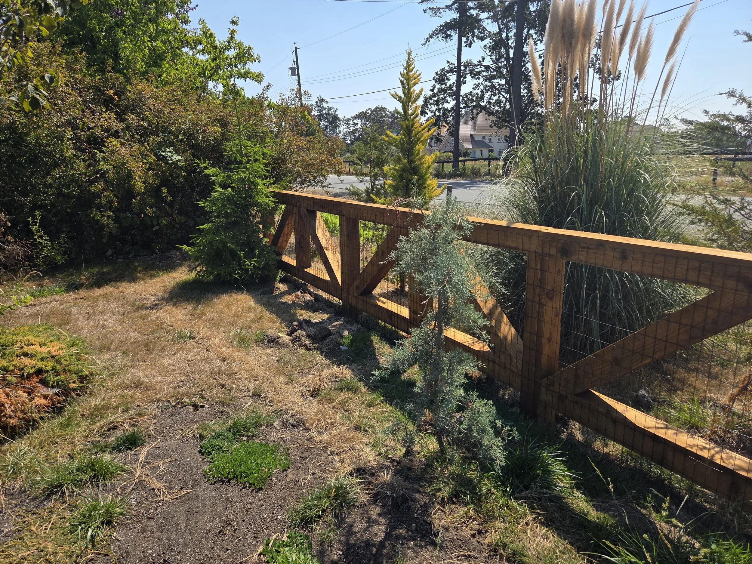 Fencing and Automated Gate