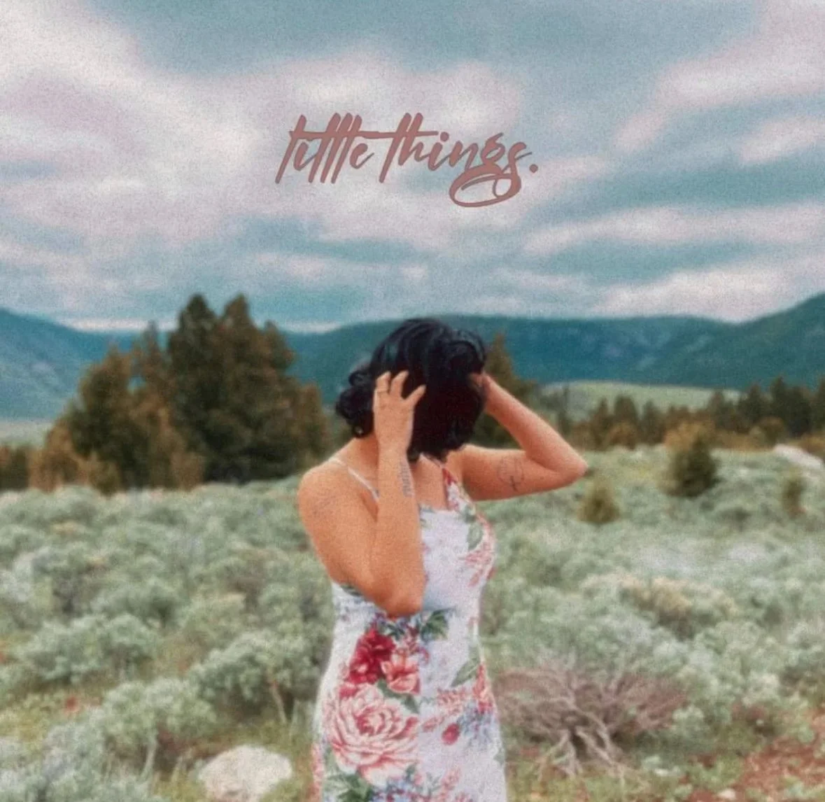 HNY with dark hair wearing a floral dress, standing outdoors in a field with hills and trees in the background, holding her head with both hands. The word 'little things.' is written at the top.