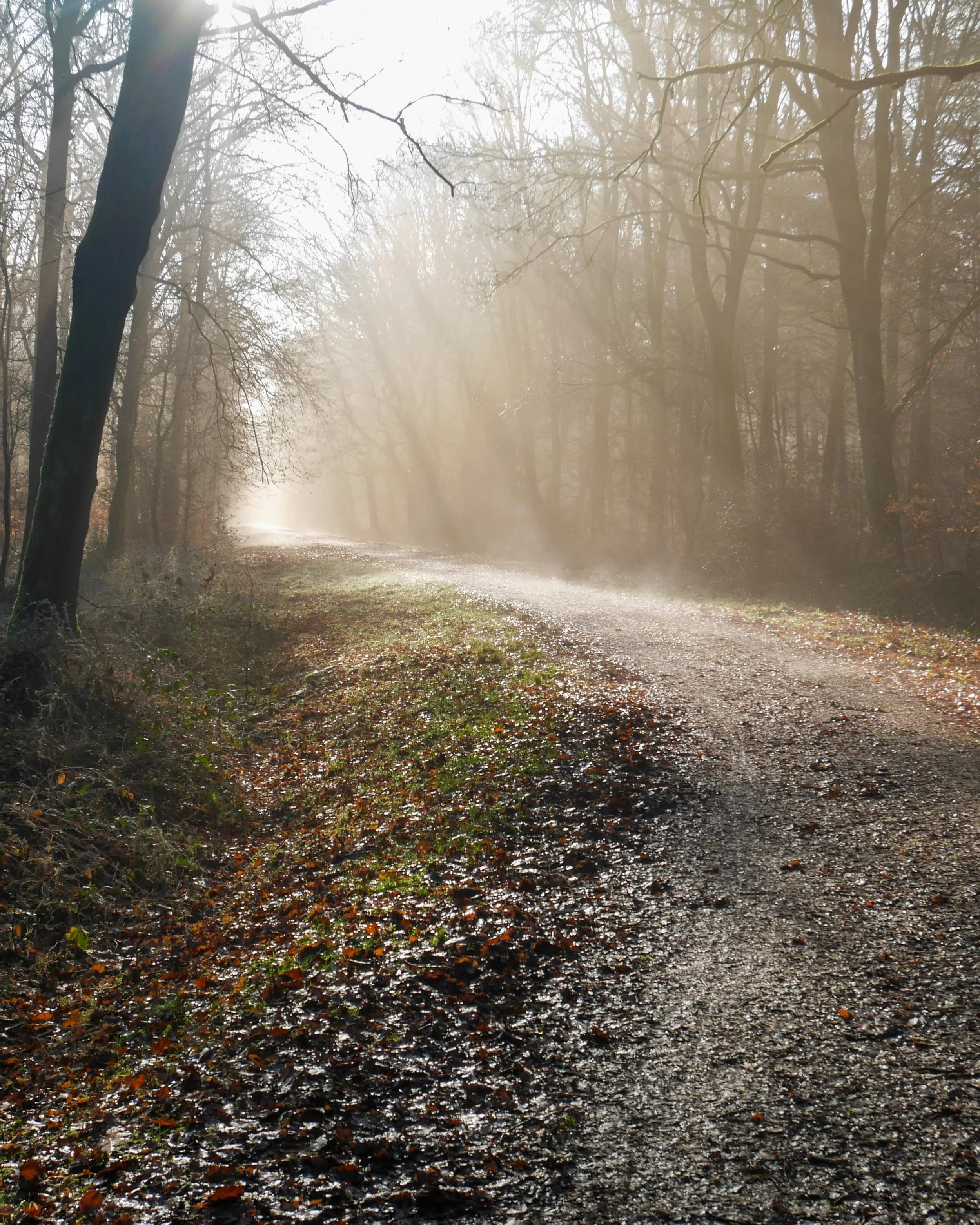 Steadfast in Every Season