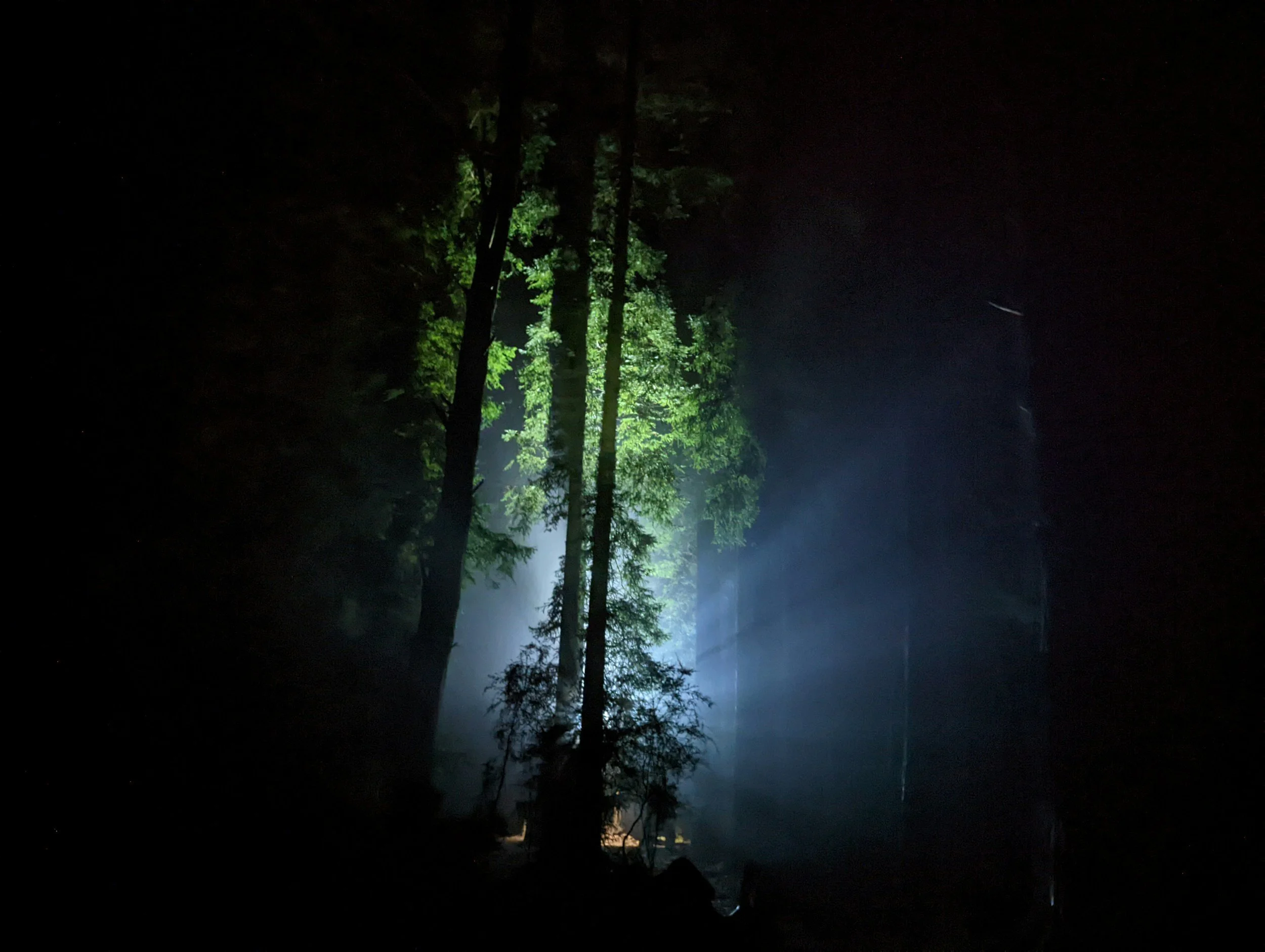 Strength for the Weary Heart