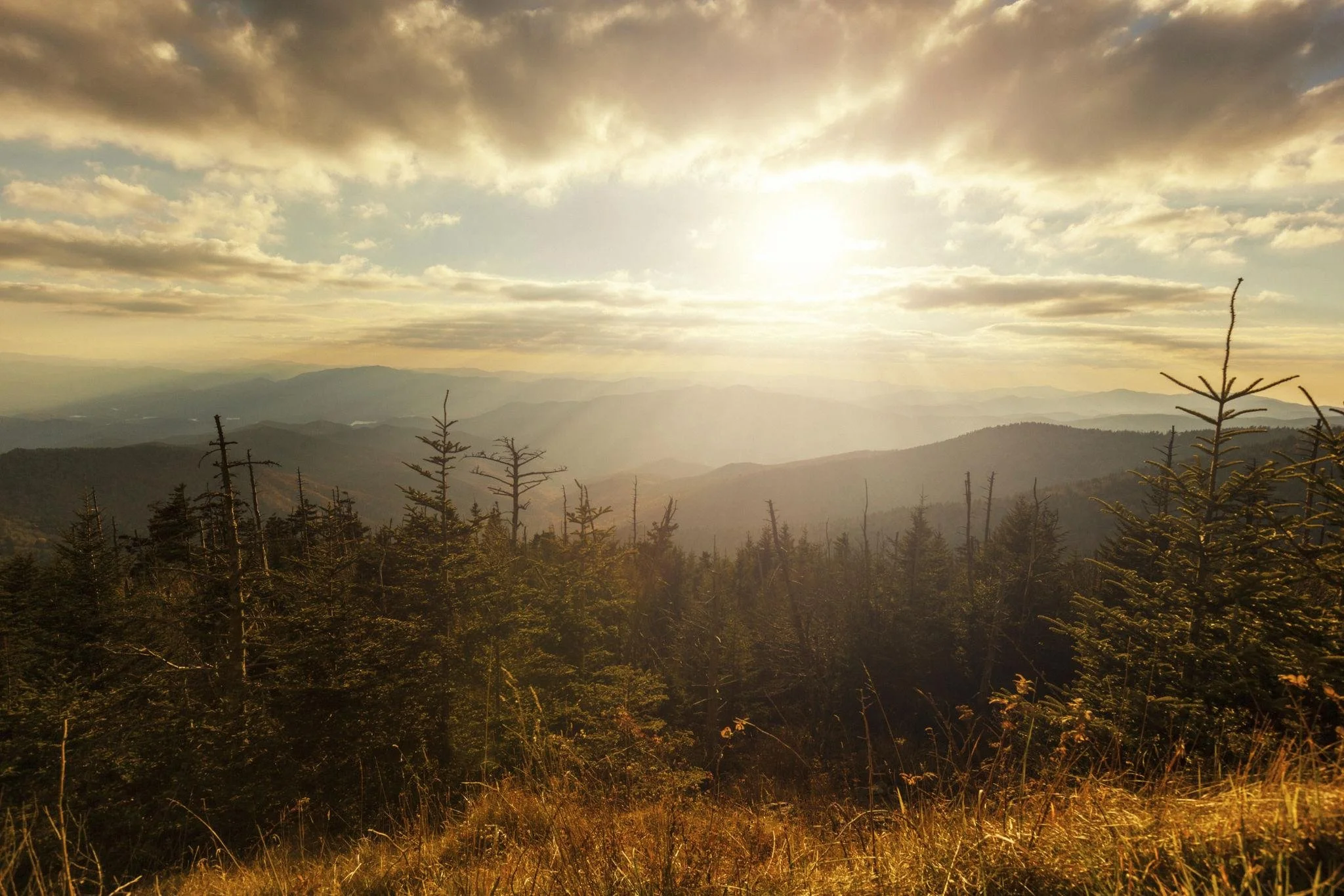 Unshaken Hope