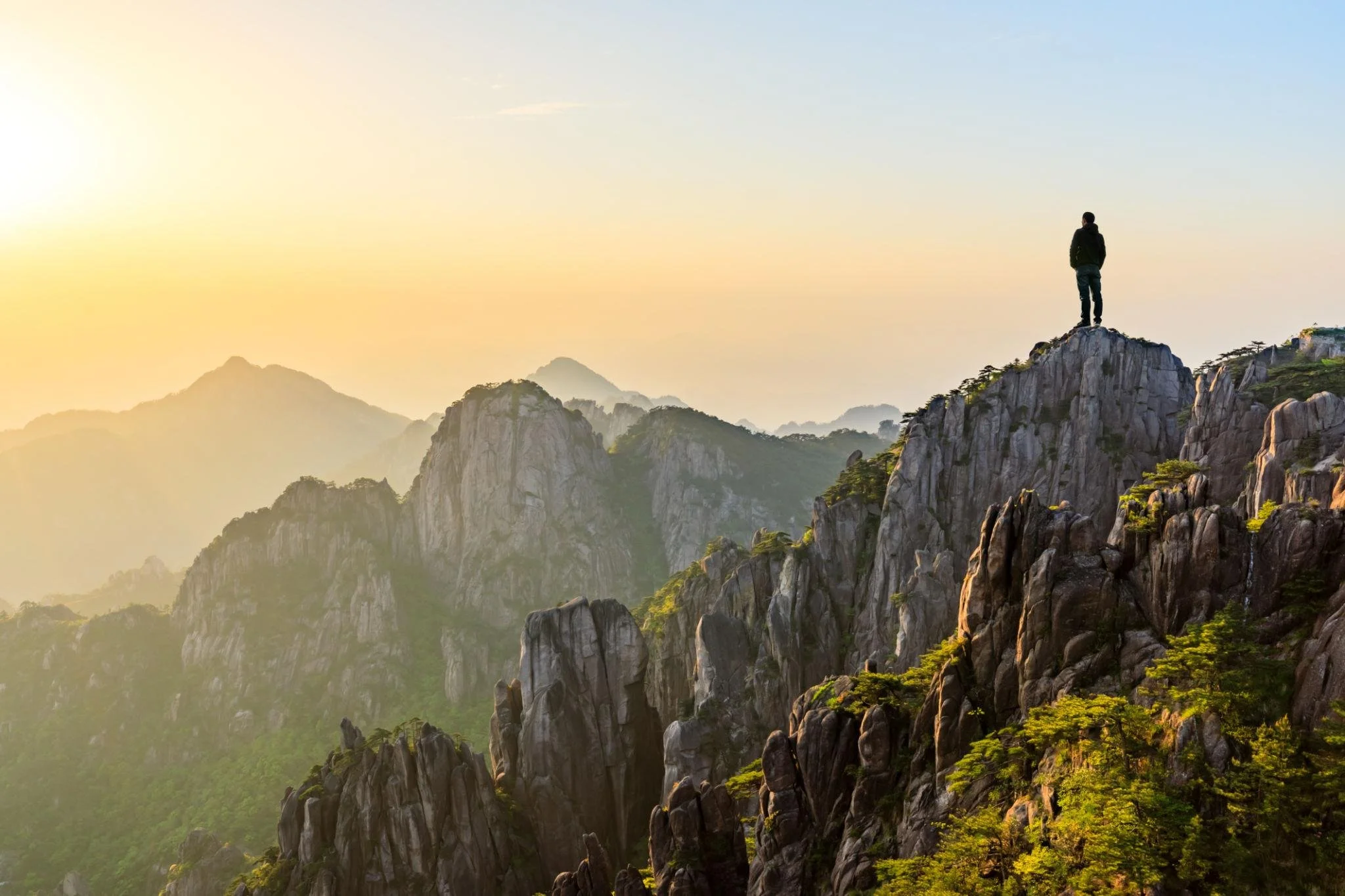 A Life Built on Wisdom