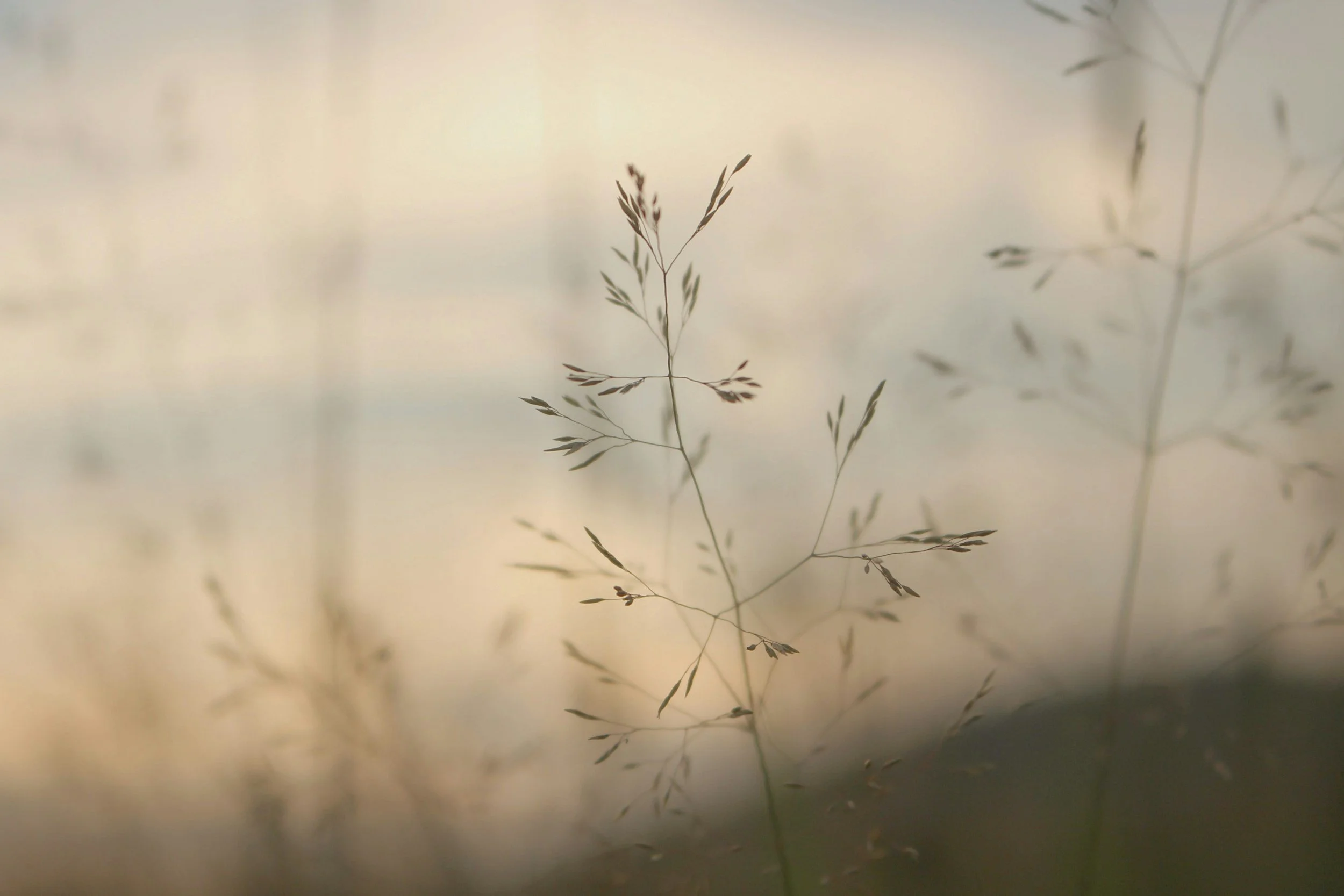 The Power of a Gentle Response