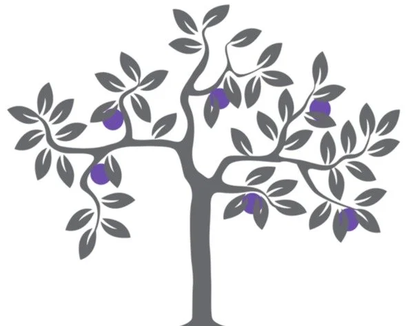A gray tree with purple fruits and multiple leaves on its branches.