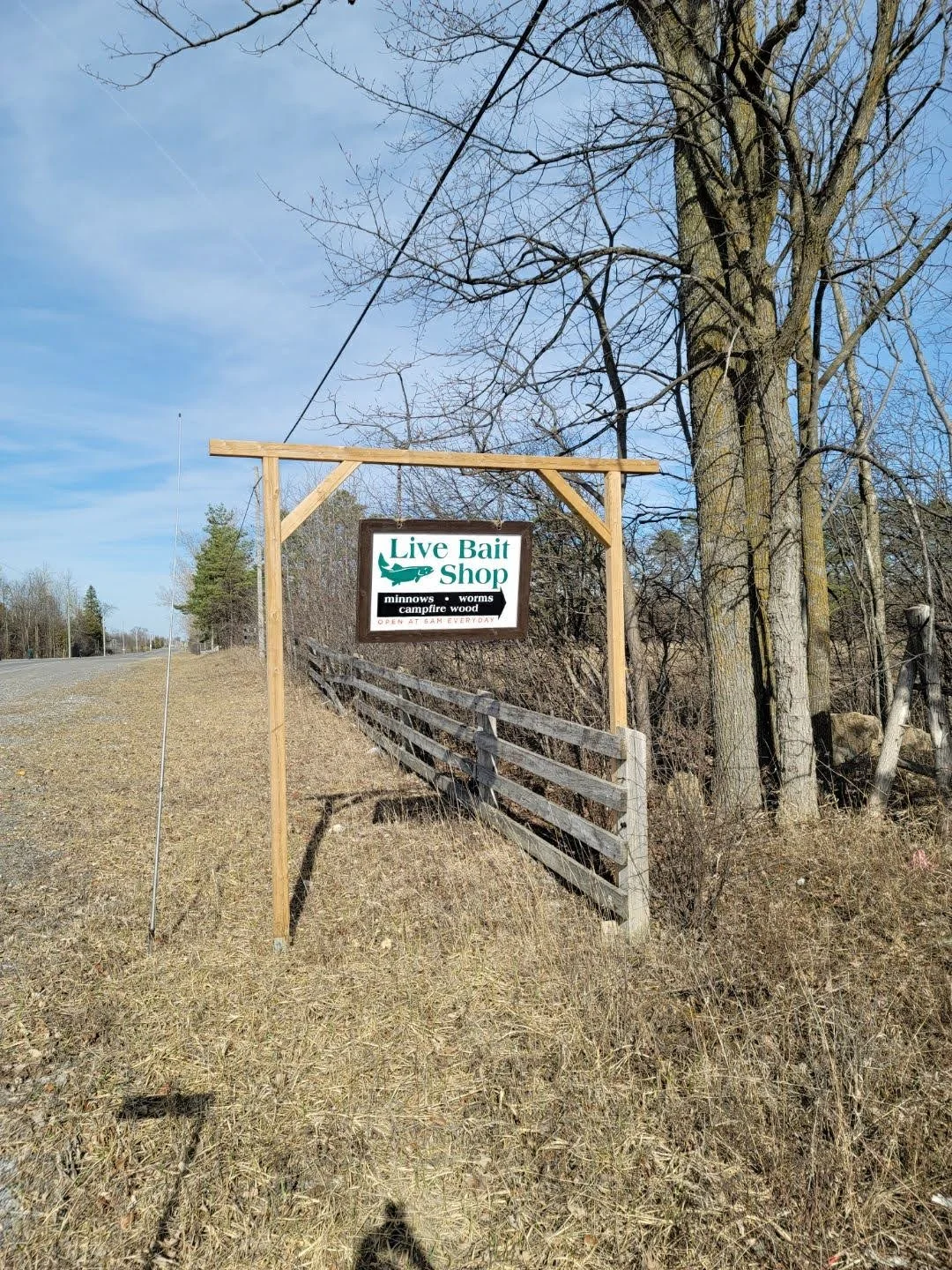 Sign for Live Bait Shop located along a rural road with trees and dry grass, advertising minnows, worms, campfire wood, and open at dawn every day.