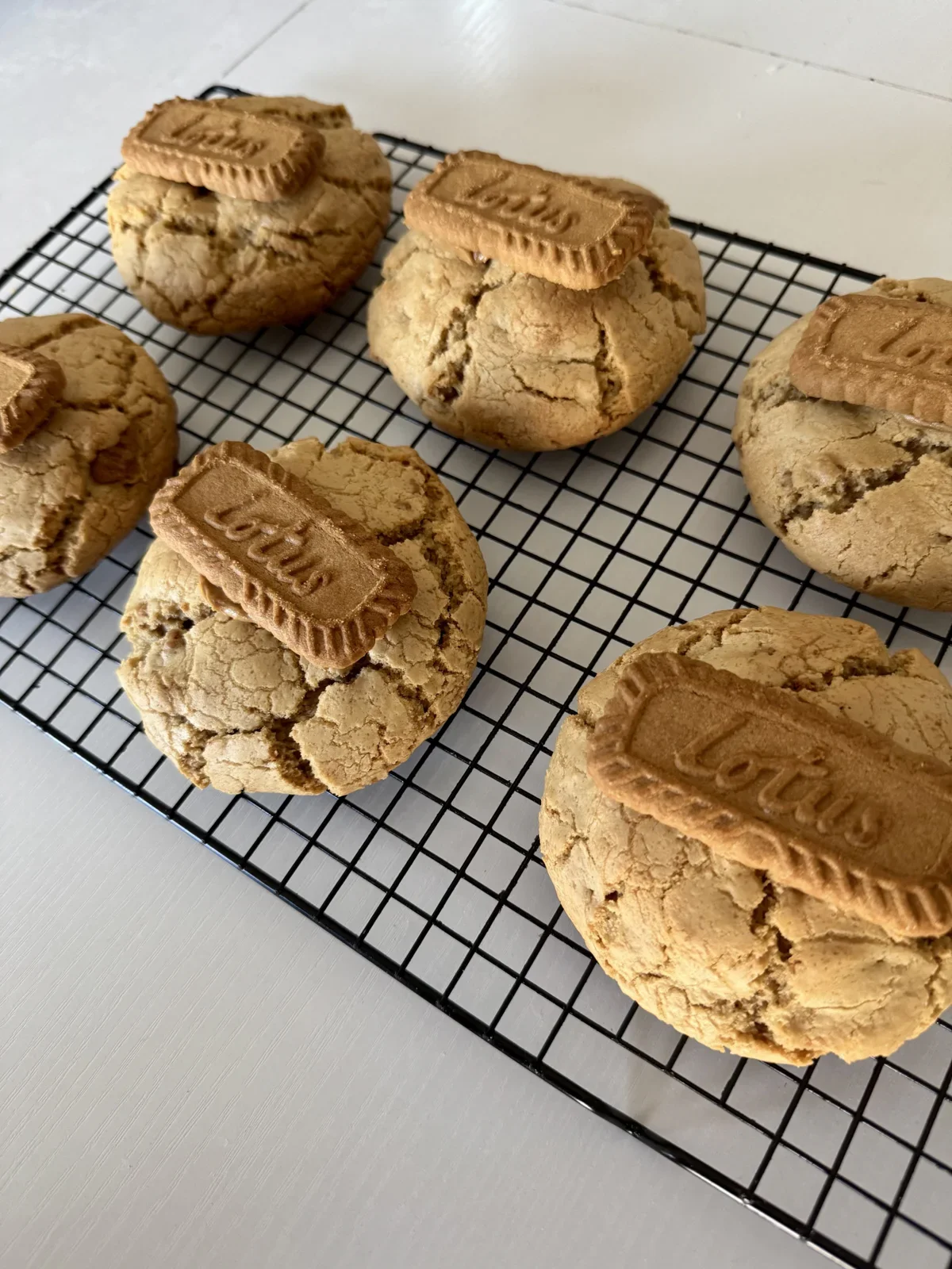 Biscoff Sourdough Cookies