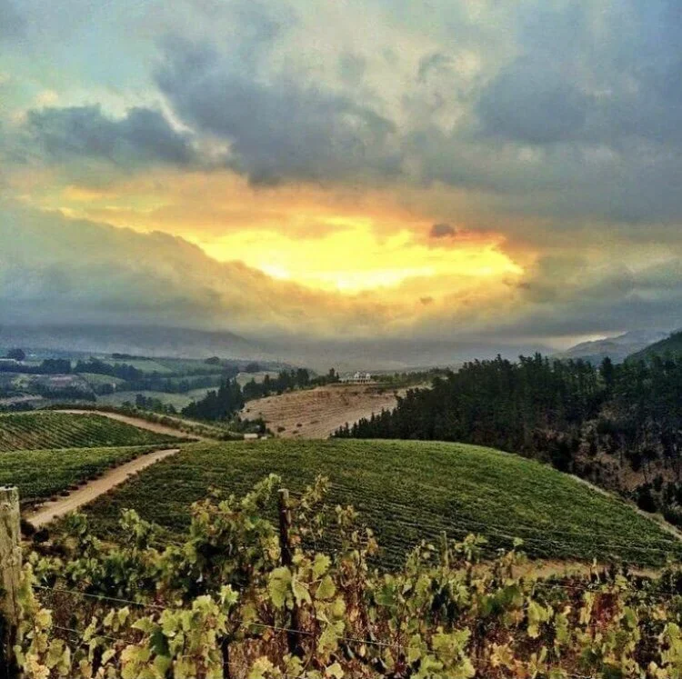 A scenic landscape of rolling vineyards on hills with a dirt path, under a dramatic sky with dark clouds and a break of yellow and orange sunset light at Oneiric winery.