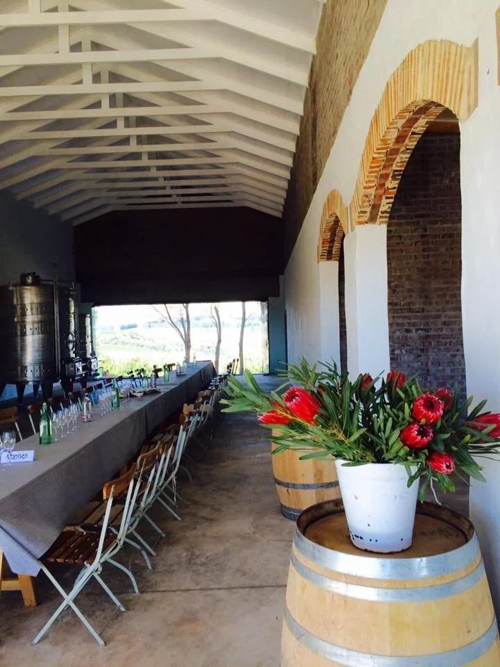 Oneiric cellar and events space