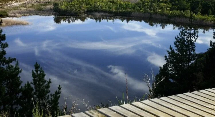 Reflection of blue sky with white clouds in the lake at Oneiric, surrounded by green trees, with a wooden boardwalk in the foreground.
