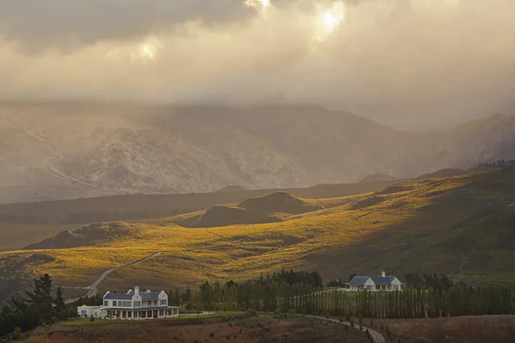 Oneiric vineyard, mountains, rolling hills, quite the vista.