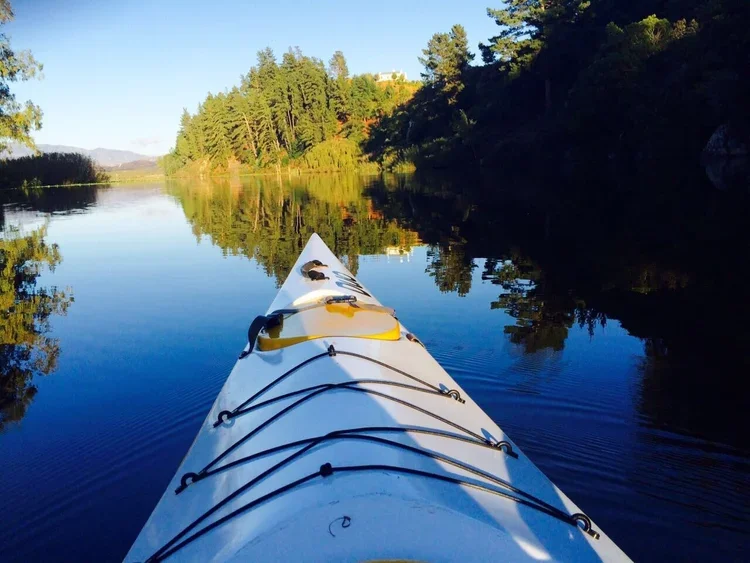 View from a kayak on the lake at Oneiric with trees on both sides and a clear blue sky.