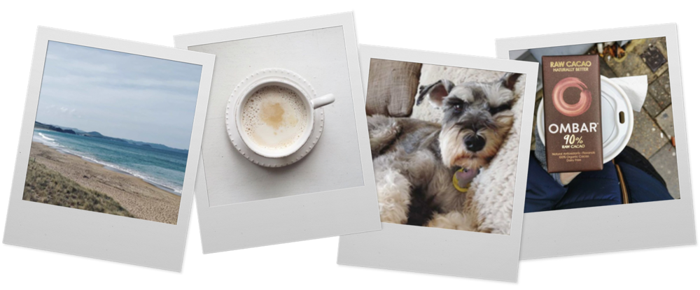 Collage of four photos: a beach scene, a cup of coffee, a resting Schnauzer dog, and a chocolate bar next to a coffee cup lid.