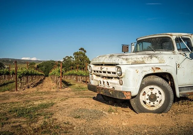 Cuando el vino cambia de nombre: Errores históricos, genética y el dilema del Nebbiolo