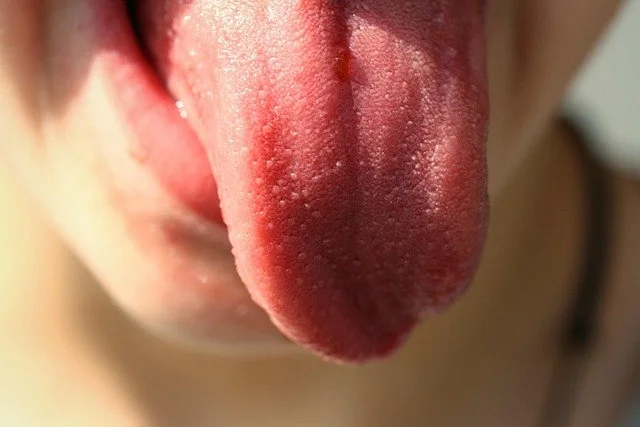 Más Mitos del Vino: Las Zonas del Gusto en la Lengua