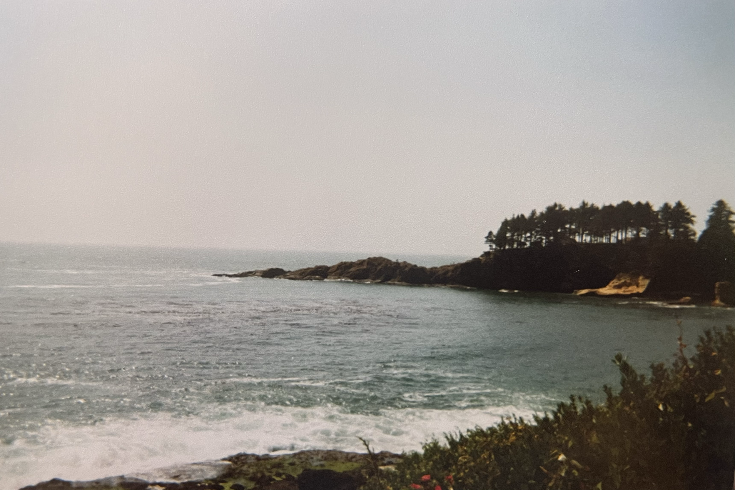 A coastal landscape with the ocean in the foreground, a rocky shoreline, and a hill topped with trees in the background under a clear sky.