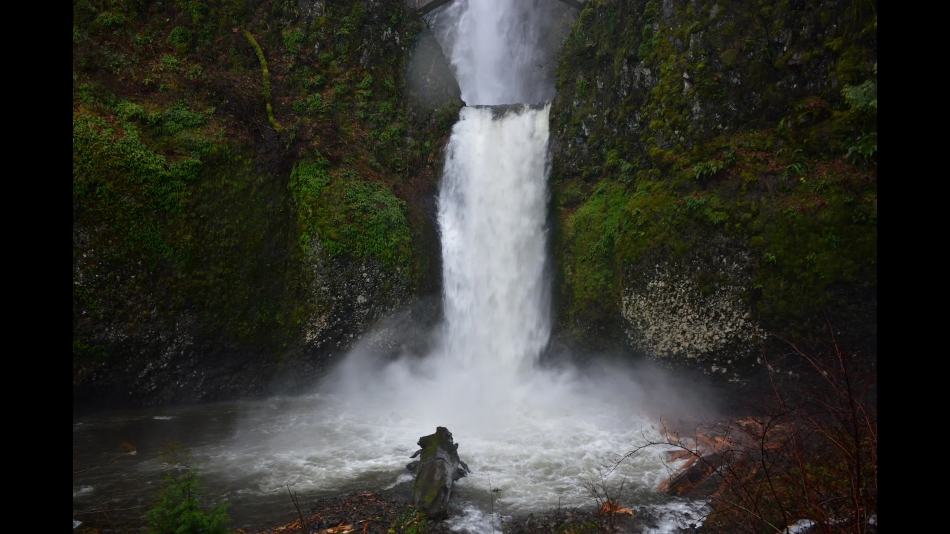 A waterfall cascading down a rocky cliff surrounded by lush green foliage.