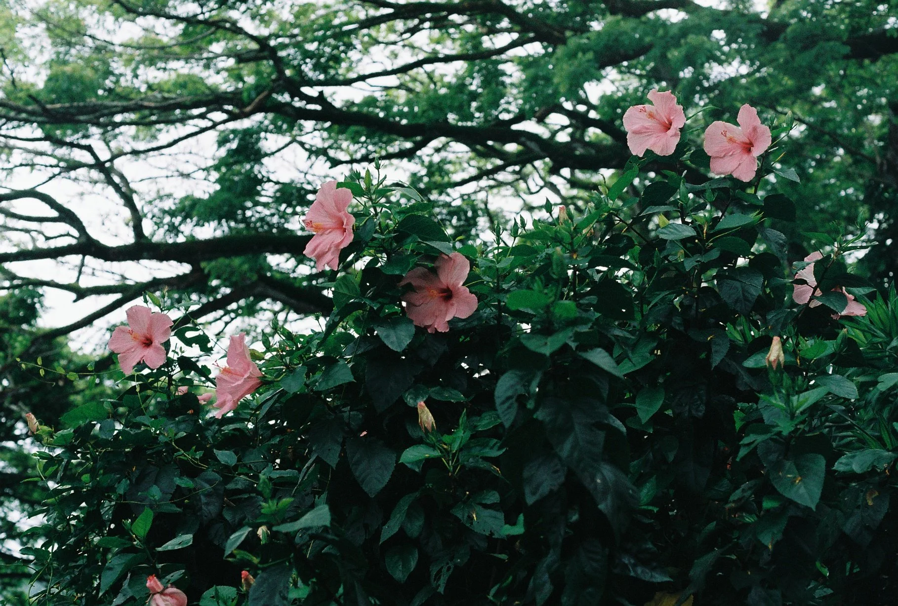 R1-08159-024A.JPG