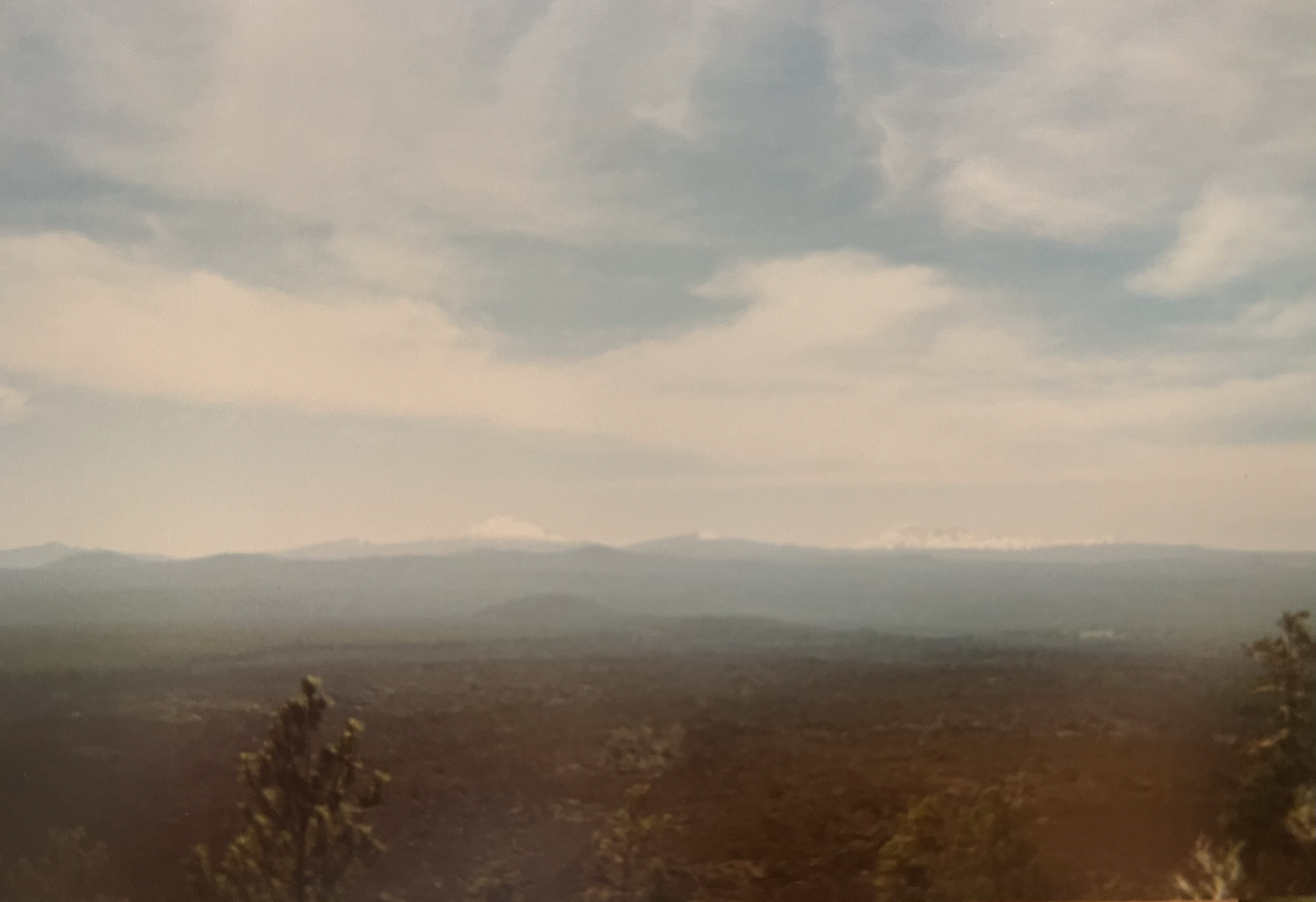 A landscape view with mountains in the background, a partly cloudy sky, and trees in the foreground.