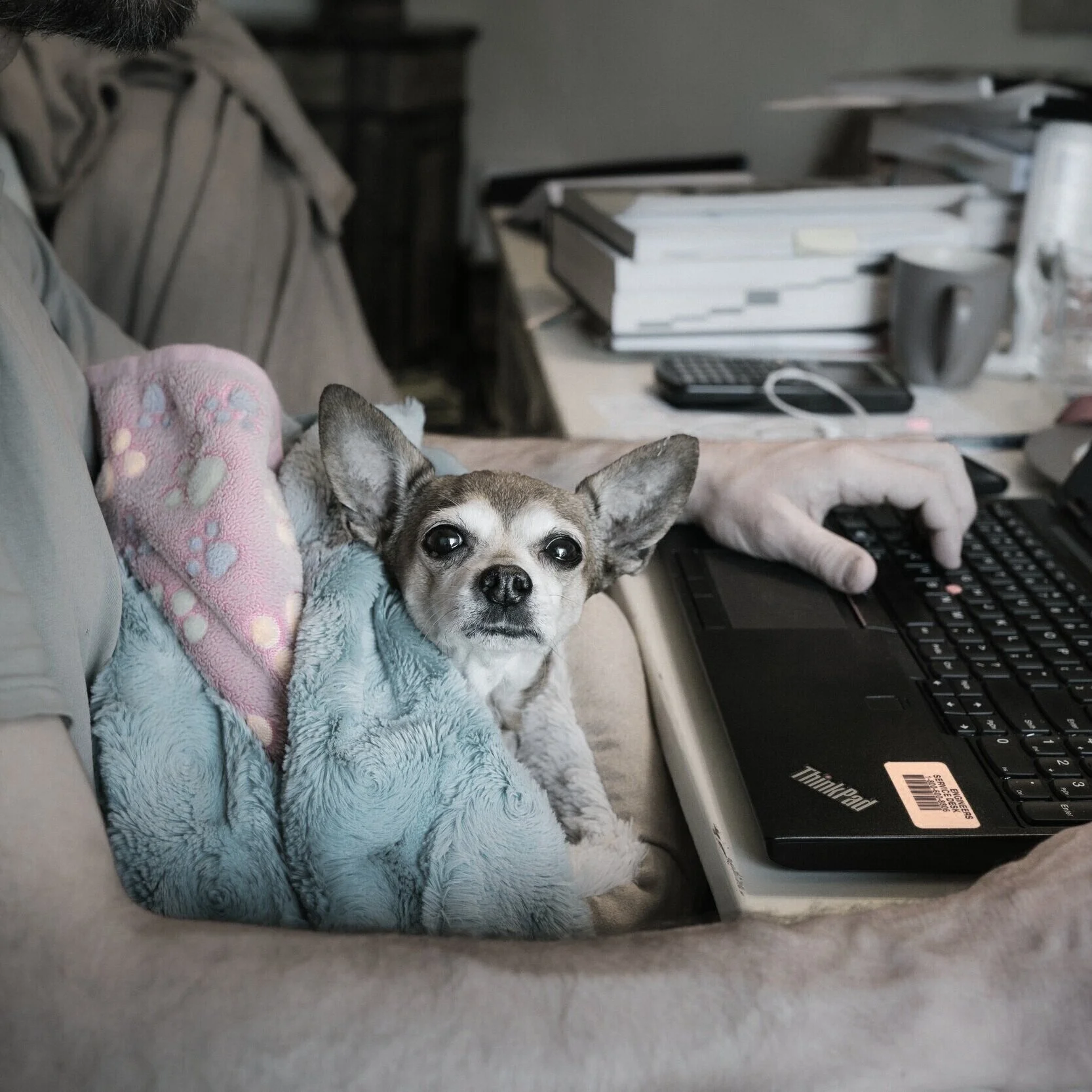 The Permanent WFH Bandwagon