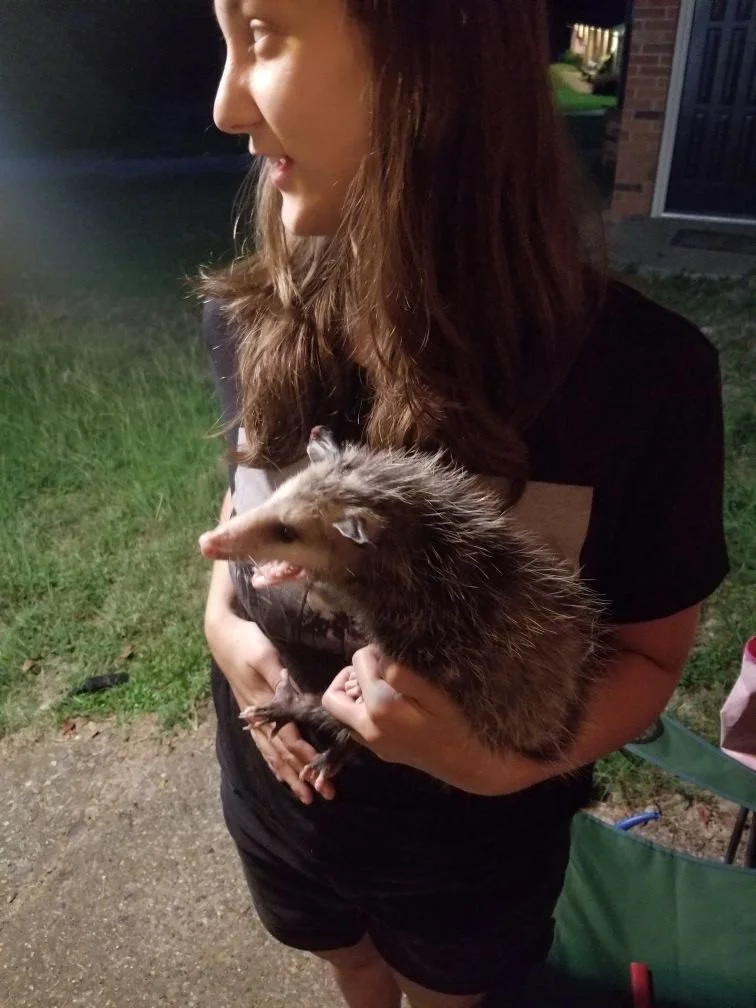 Apantomancy: Animal Medicine