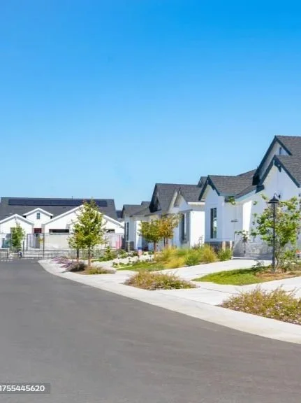 Residential neighborhood with new white houses, young trees, and a curved paved road under a clear blue sky.