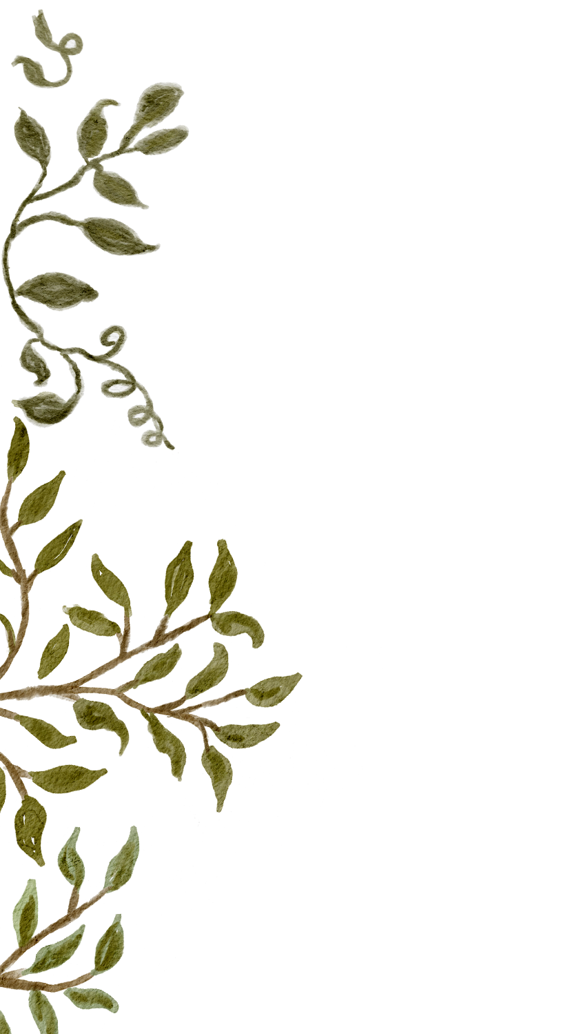 Decorative border of green leaves and vines on the left side of the image.