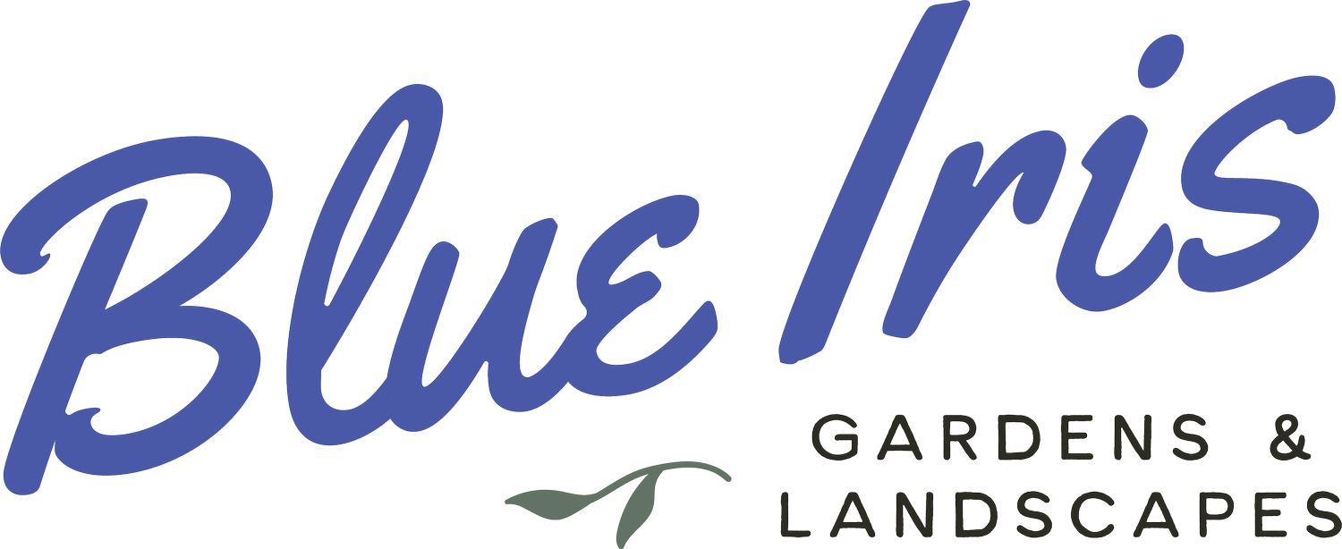  Blue Iris Gardens &amp; Landscapes