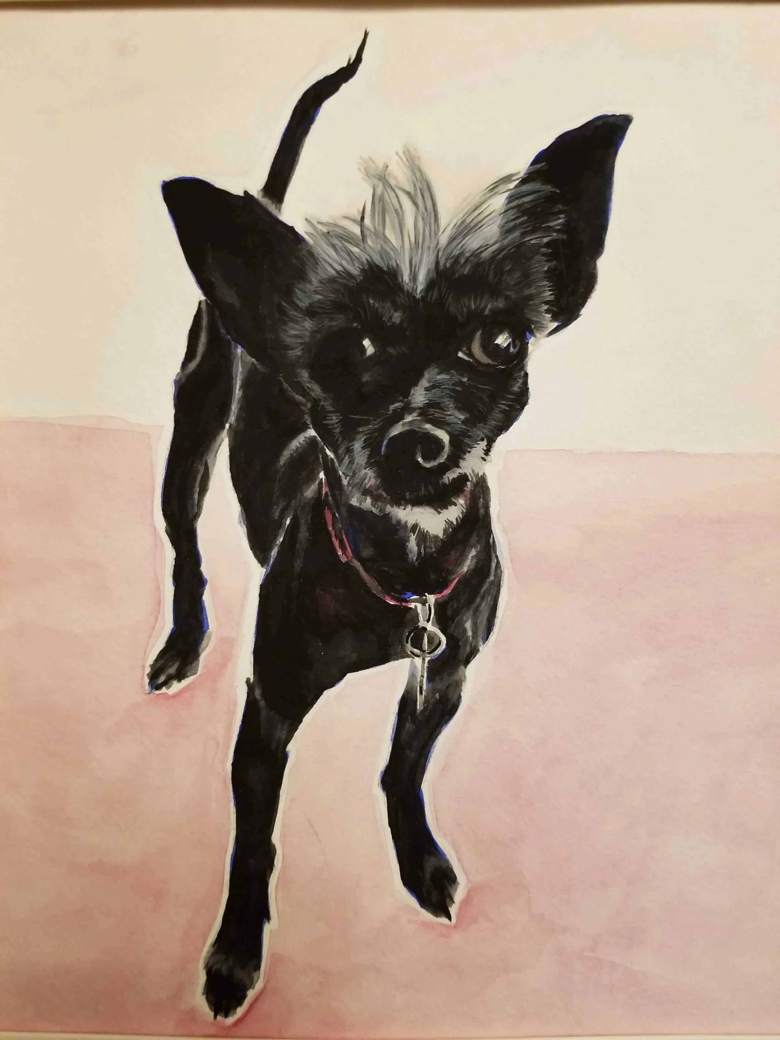Painting of a small black dog with large ears, light-colored eyes, and a red collar, standing on a light pink surface against a light background.