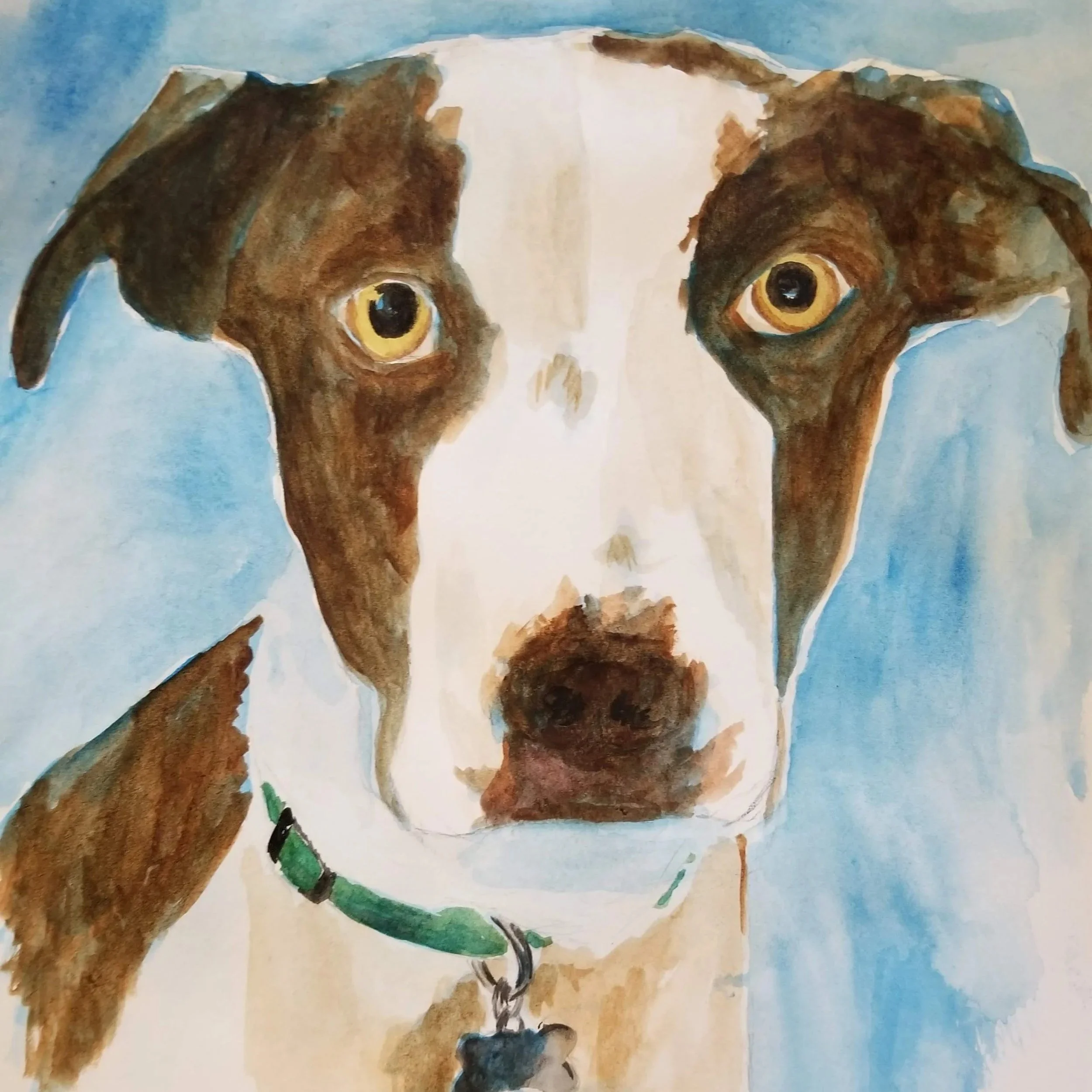 Watercolor painting of a dog with brown and white fur, yellow eyes, a green collar, and a black tag against a blue background.