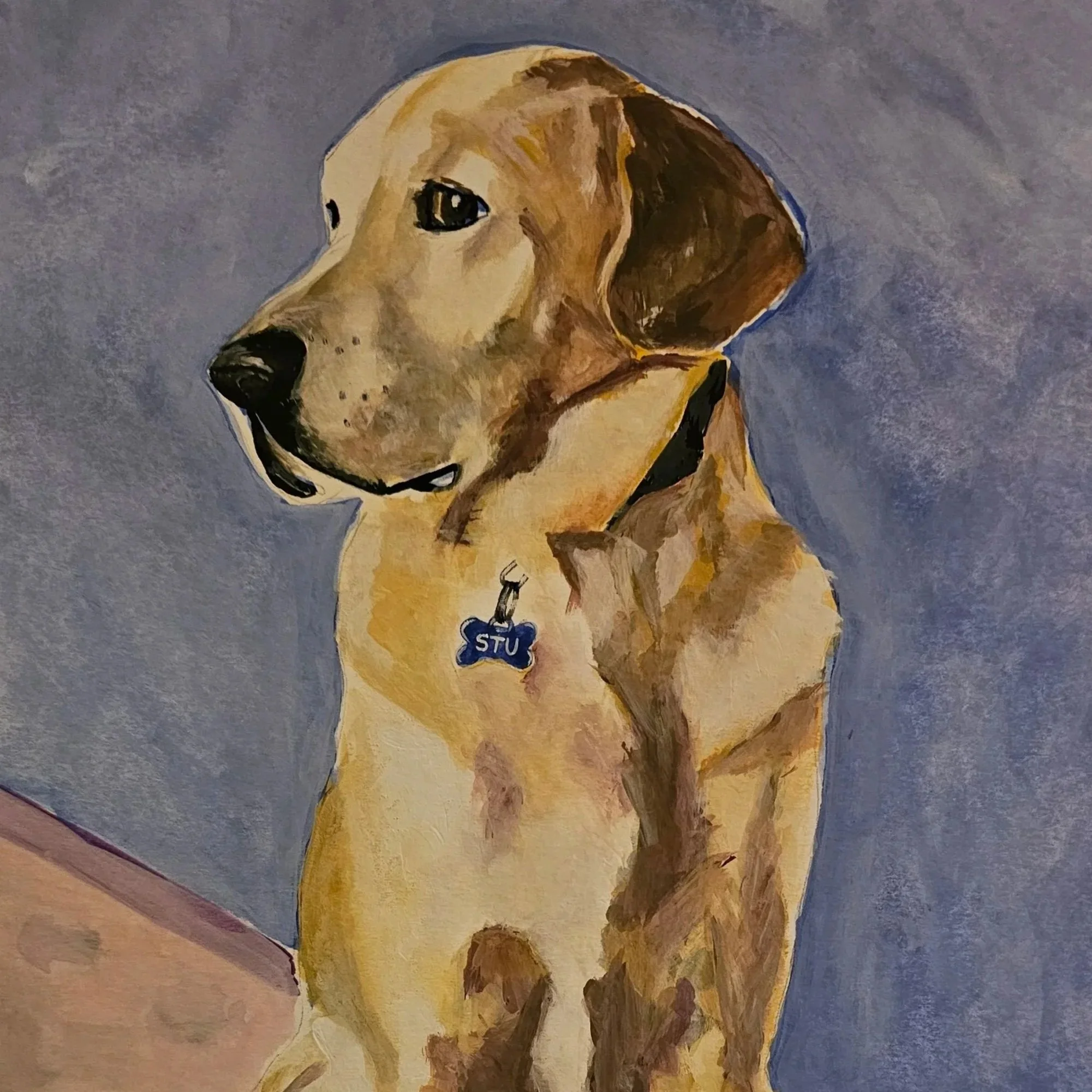 A painting of a yellow Labrador Retriever dog sitting against a blue background, wearing a collar with a blue identification tag marked 'STU.'