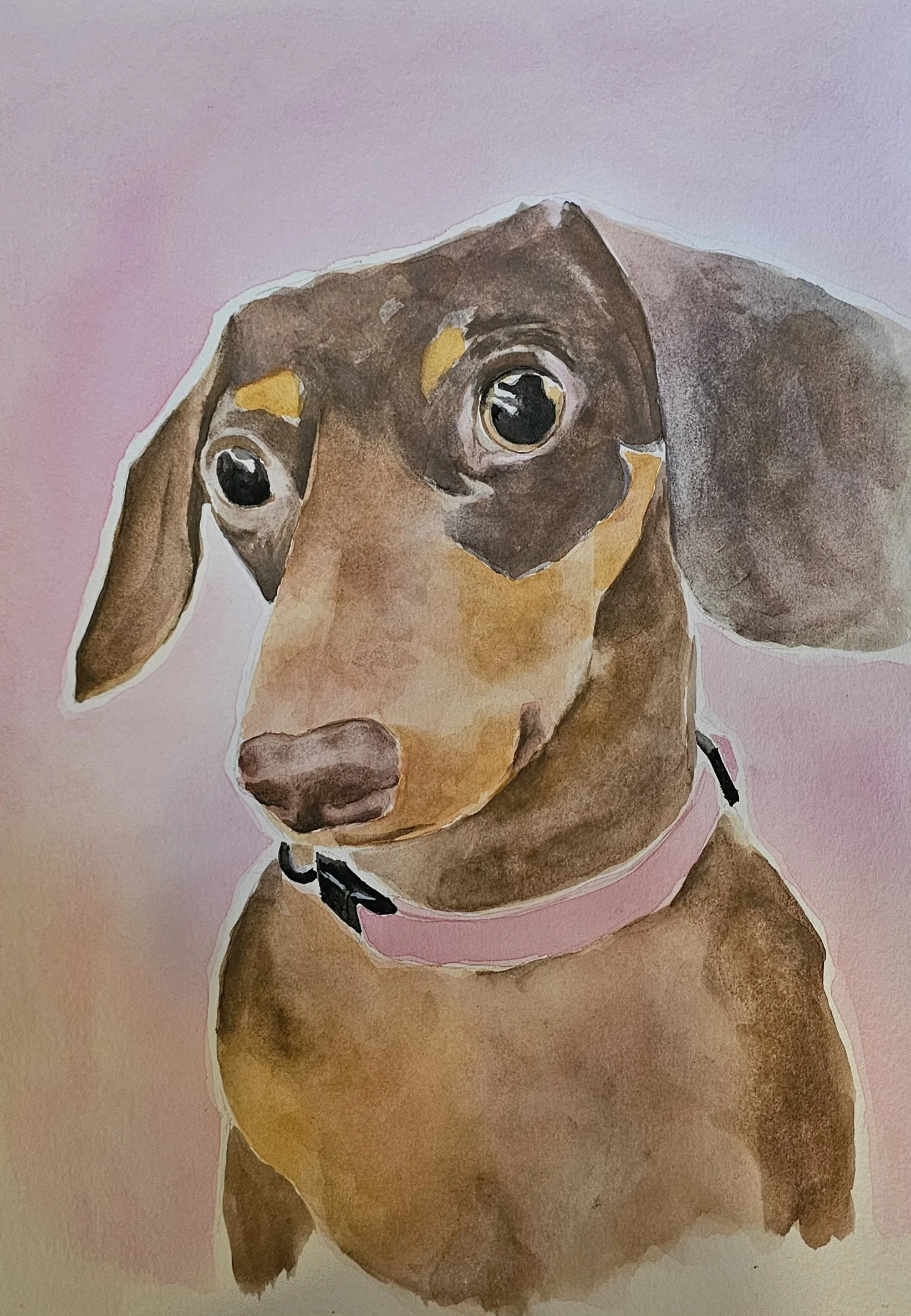 Watercolor painting of a dog with floppy ears, brown and tan fur, and wearing a pink collar, against a pink background.