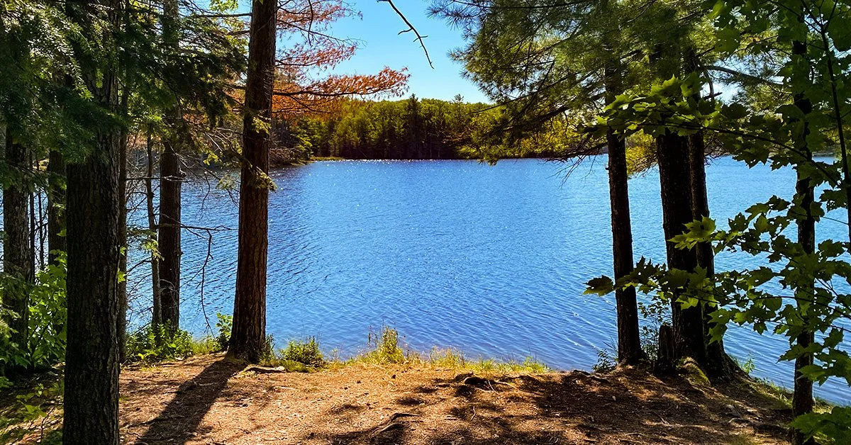 Static Website Banner lake with trees.jpg