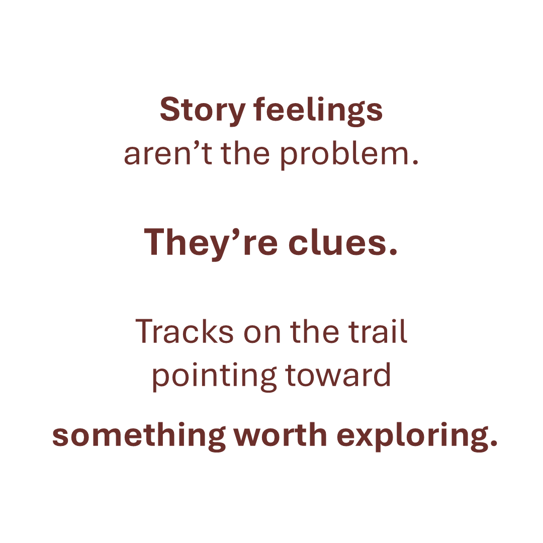 How "Faux Feelings" Became "Story Feelings" — A Community Journey (Updated)