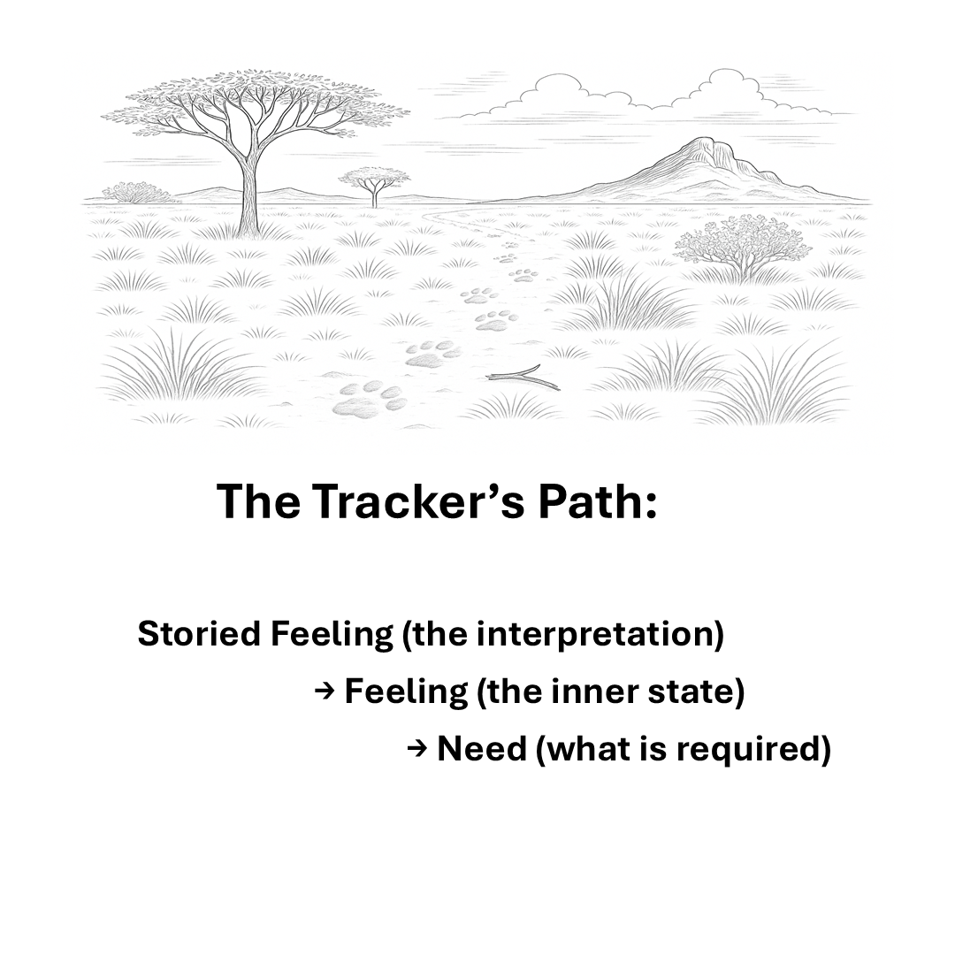 Storied Feelings: Why I Landed Here