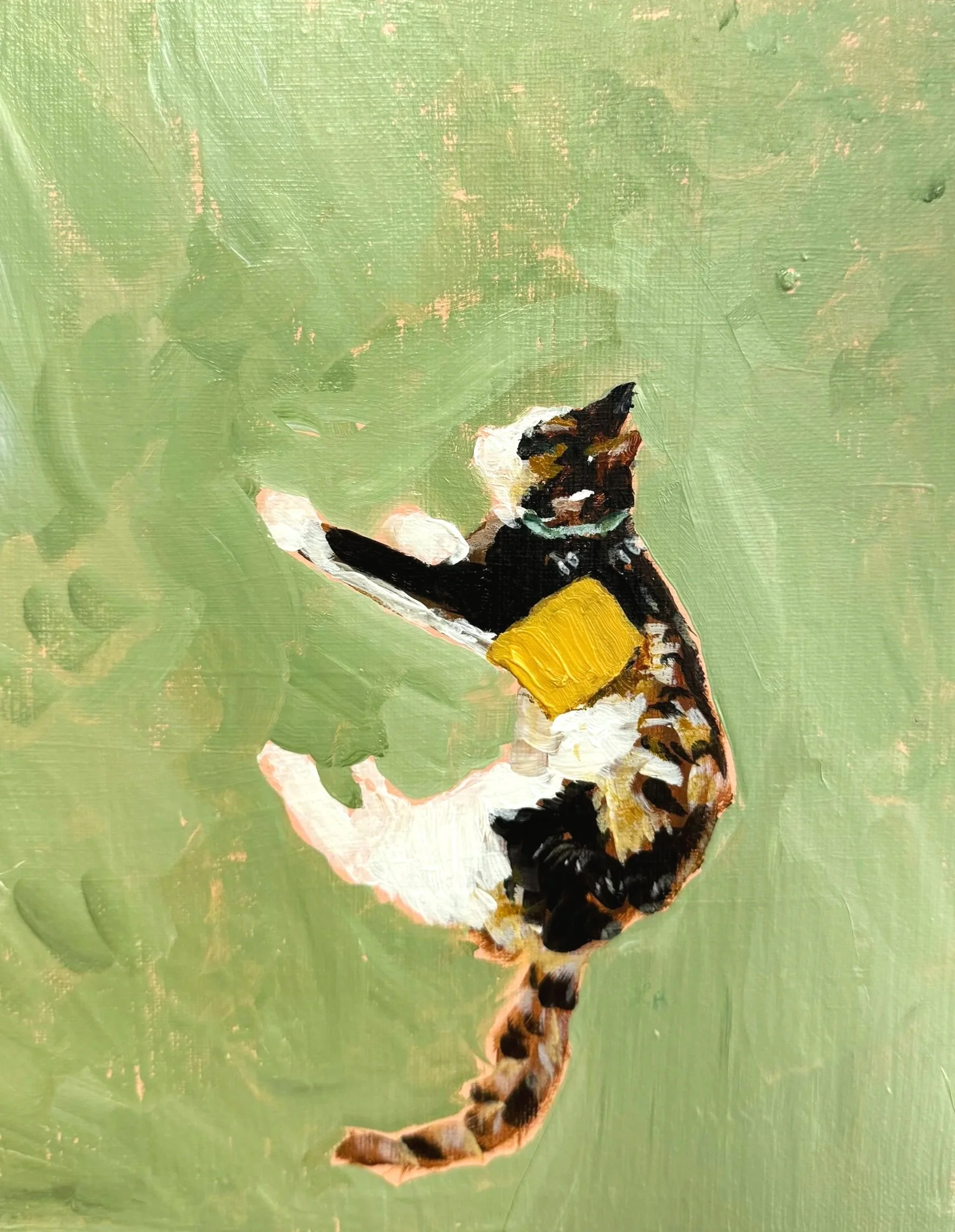 cheese+cat+acrylic+study.jpg