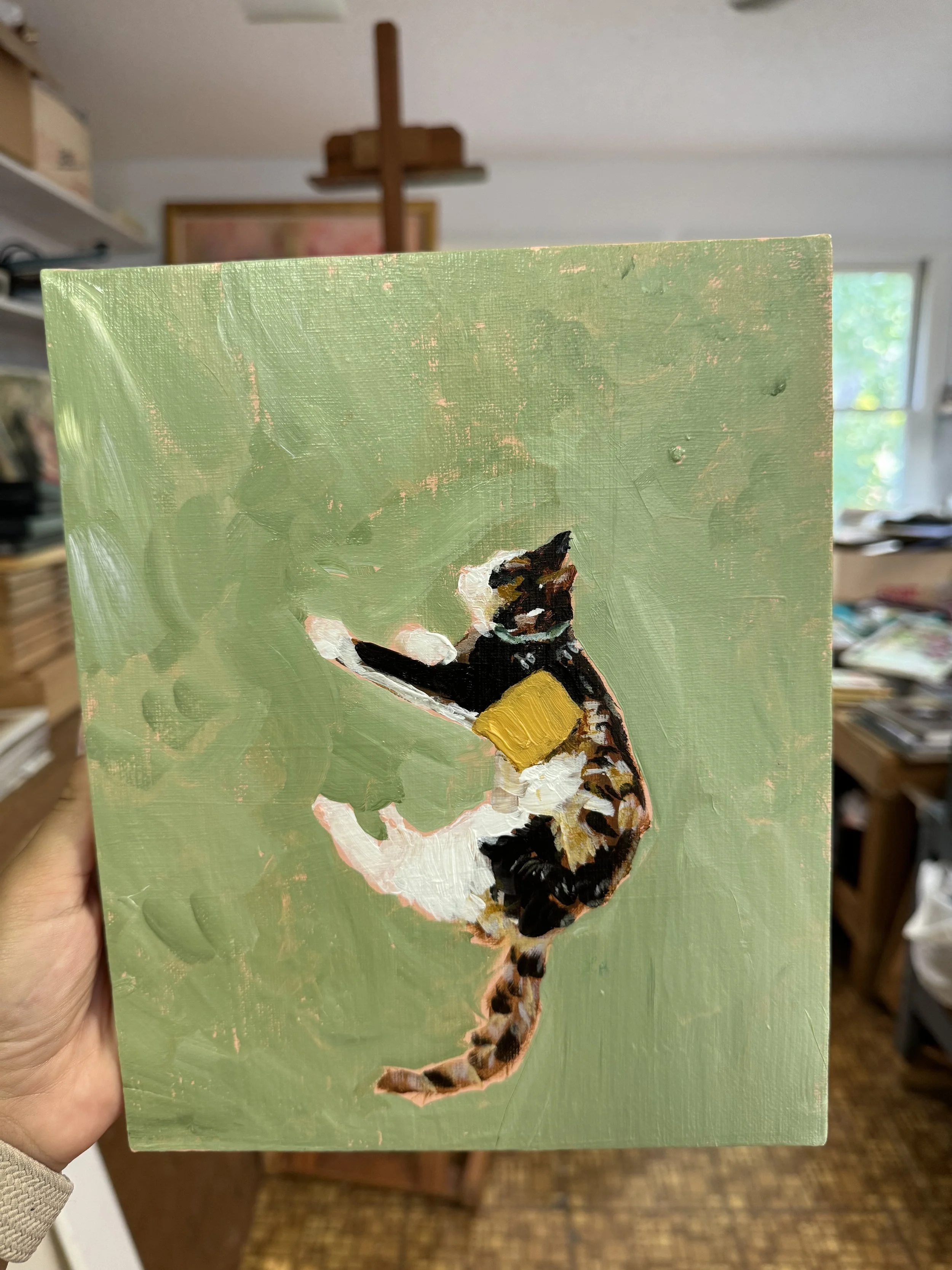 cheese cat acrylic study.jpeg